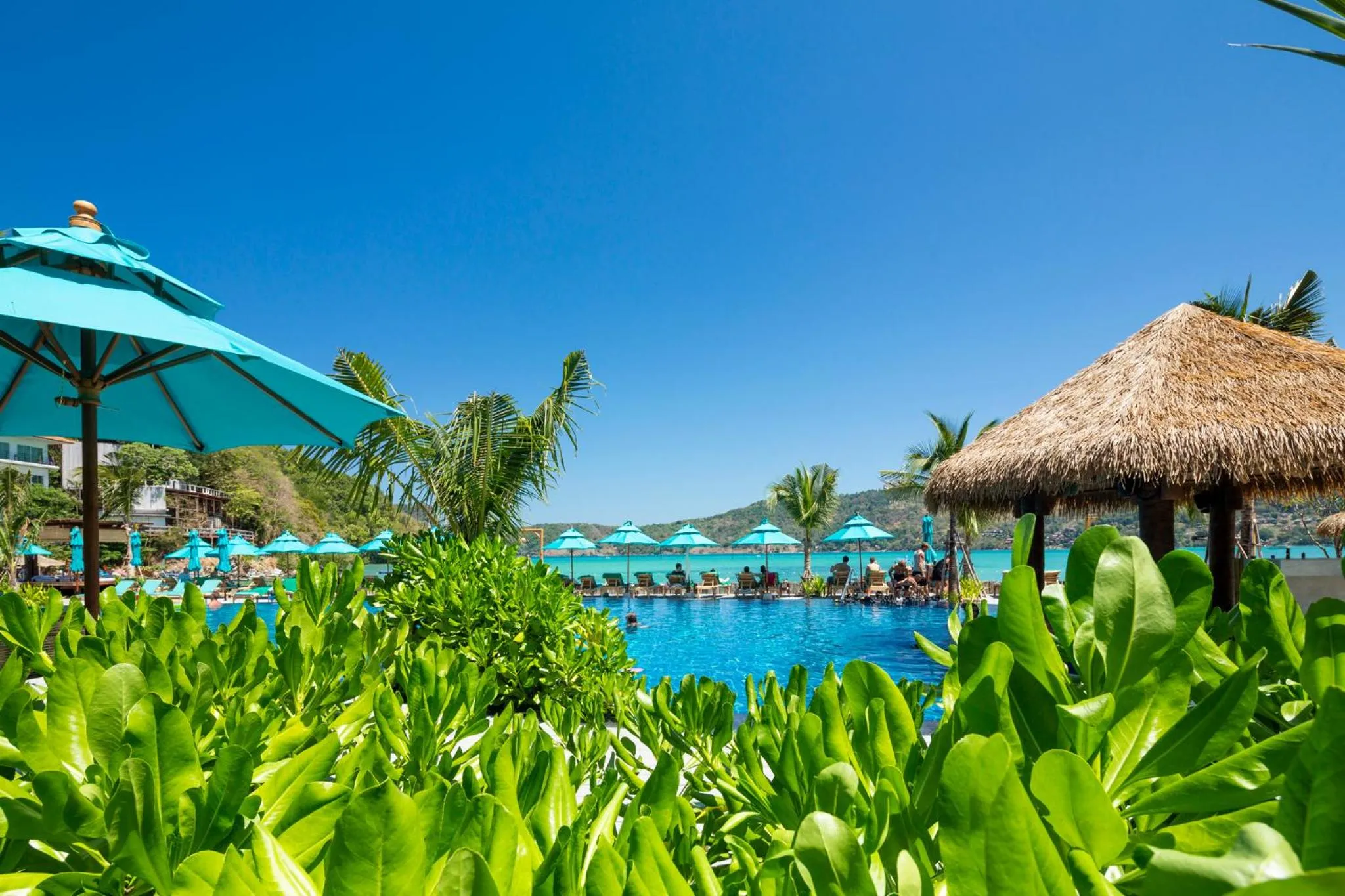 Swimming pool in Phi Phi CoCo Beach Resort