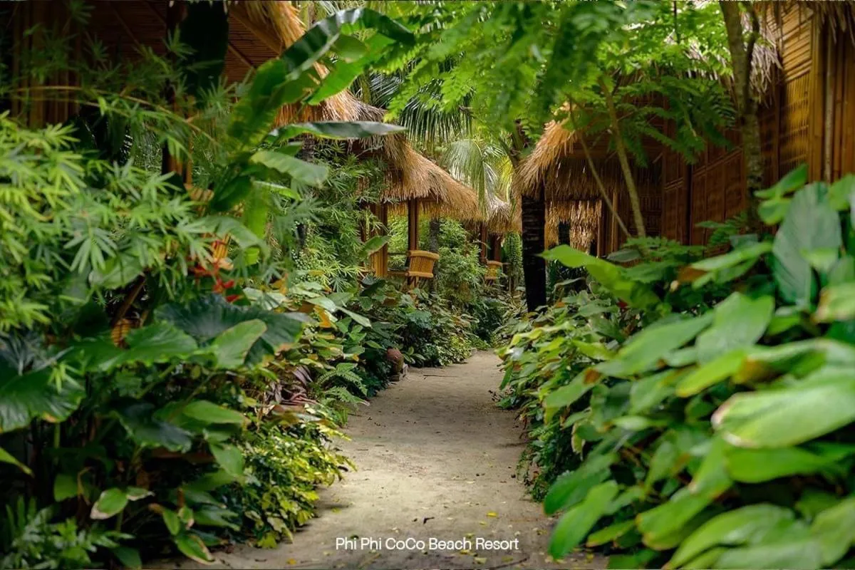 Garden view in Phi Phi CoCo Beach Resort