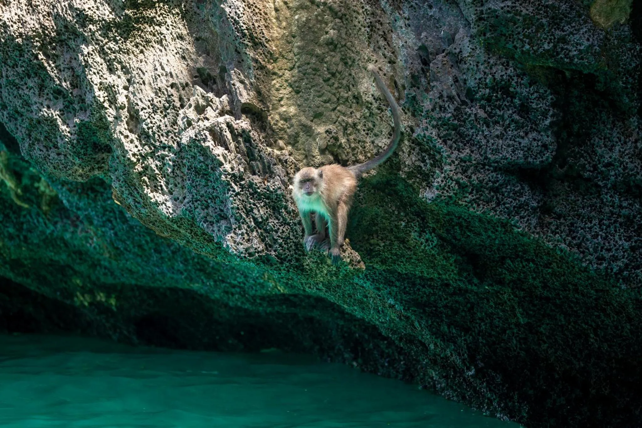 Natural landscape in Phi Phi CoCo Beach Resort