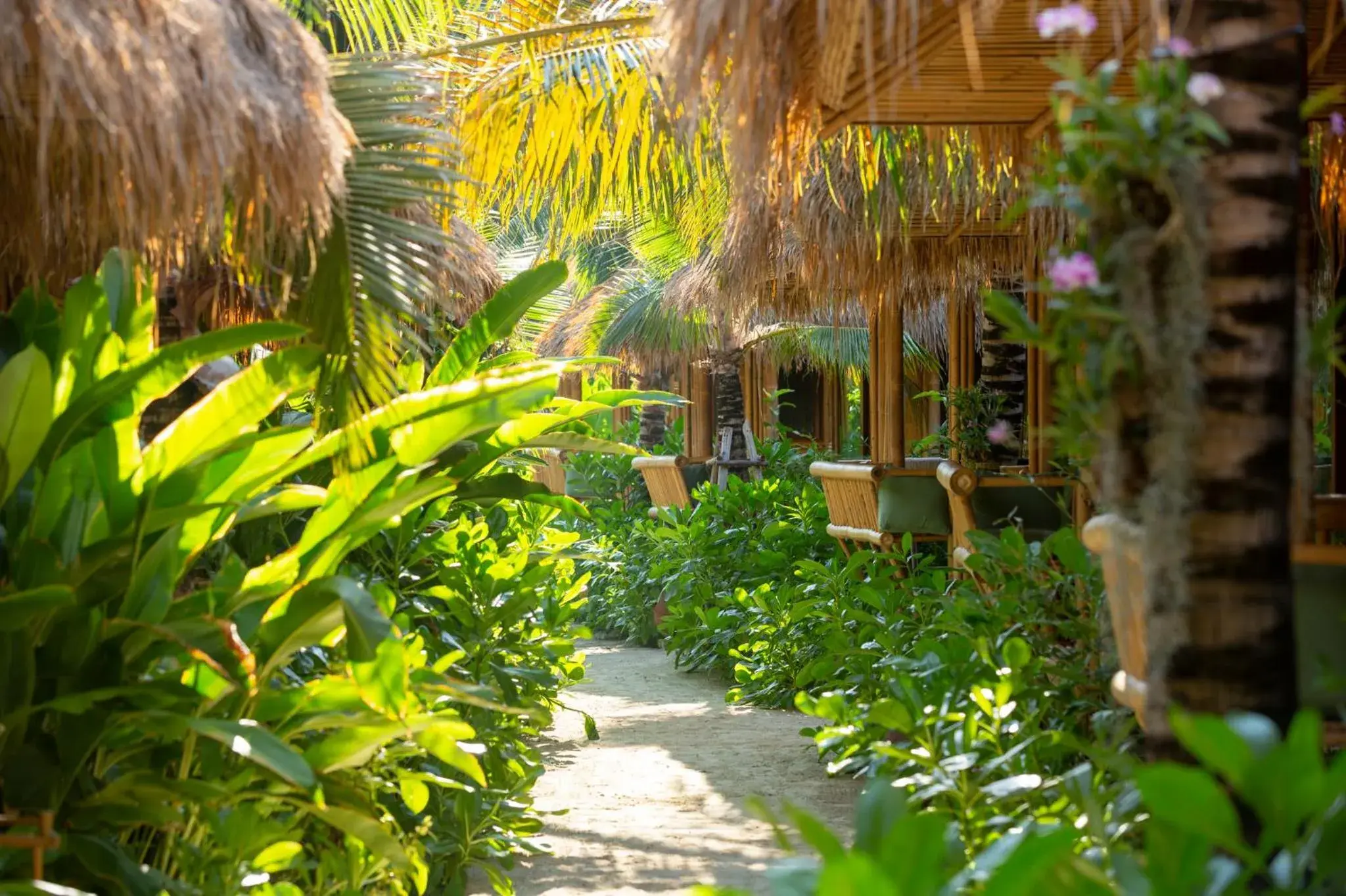 Garden view in Phi Phi CoCo Beach Resort Garden view in Phi Phi CoCo Beach Resort