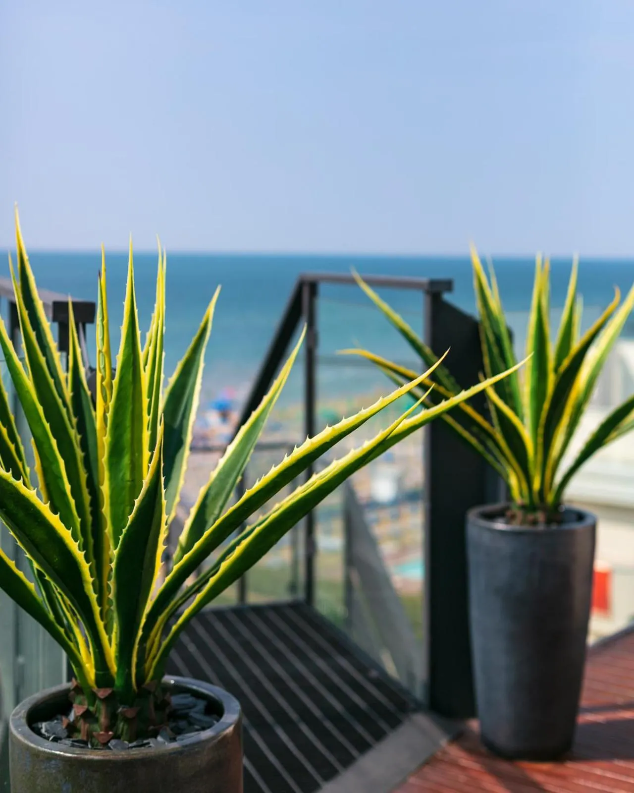 Solarium in Hotel Mariver