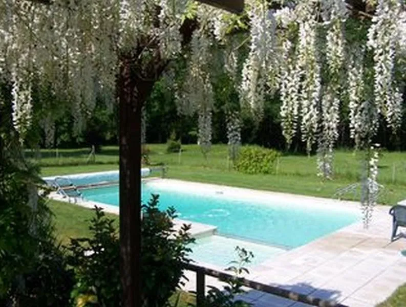 Swimming pool in Château des Bouffards
