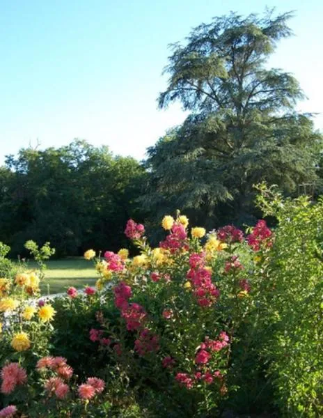 Garden in Château des Bouffards