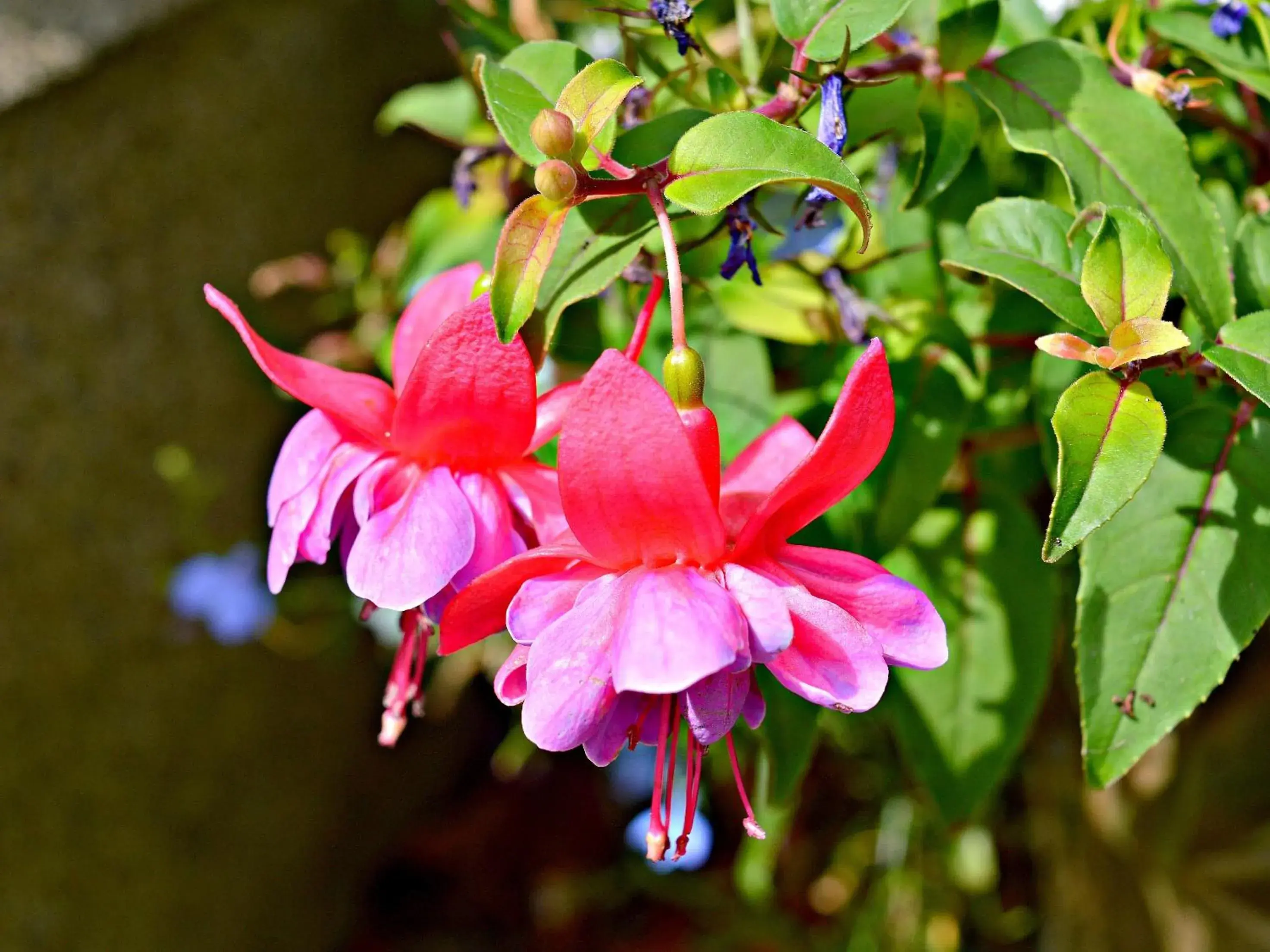 Property building in Kiltariff Hall Country House Property building in Kiltariff Hall Country House