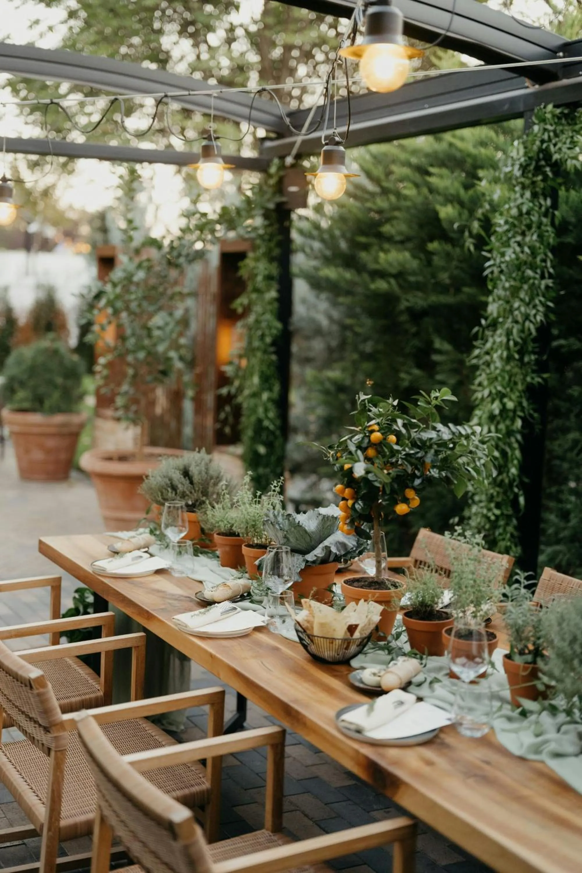 Restaurant/places to eat in JW Marriott Bucharest Grand Hotel