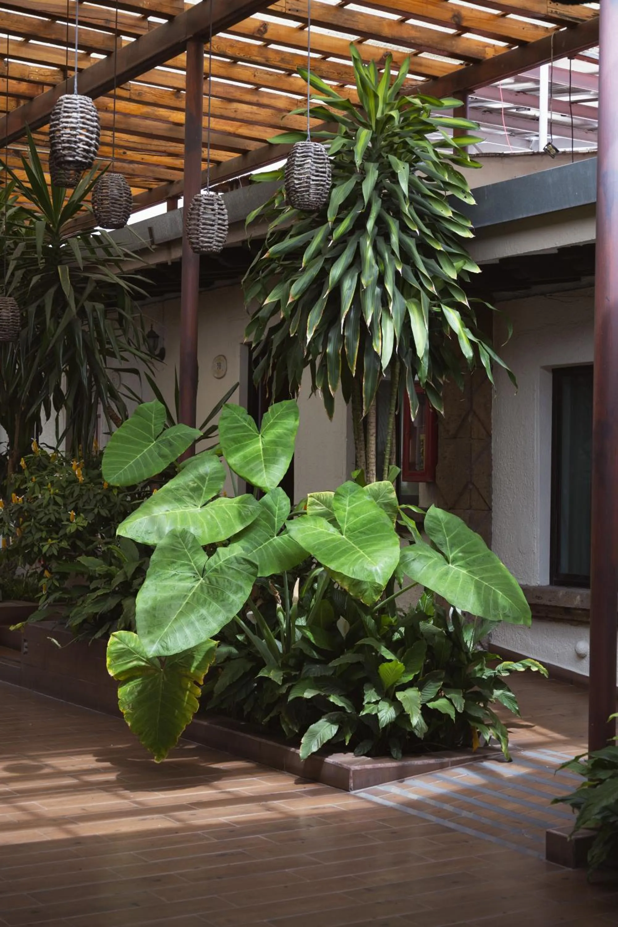 Hotel Posada Virreyes