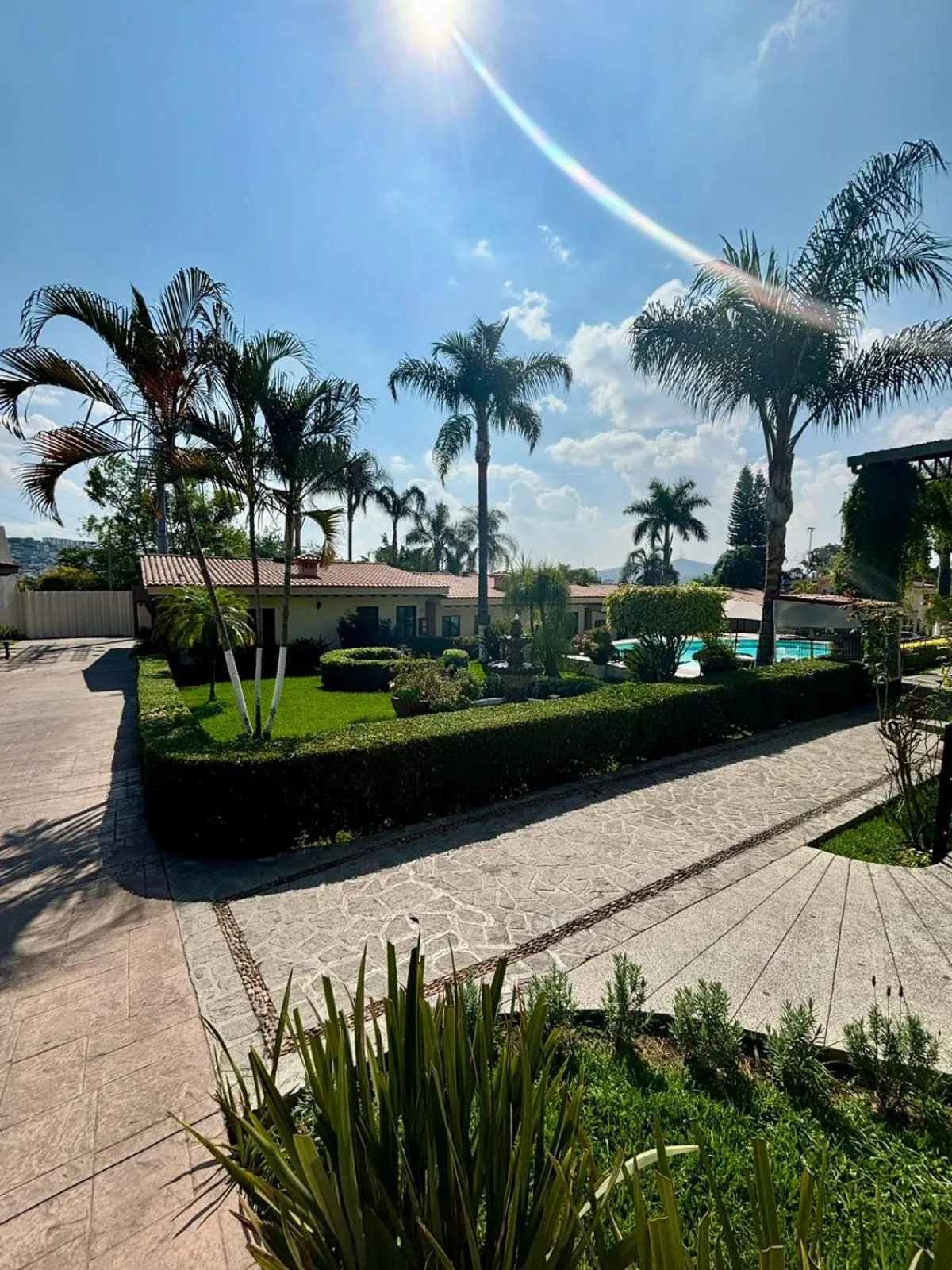 Garden in Hotel Posada Virreyes