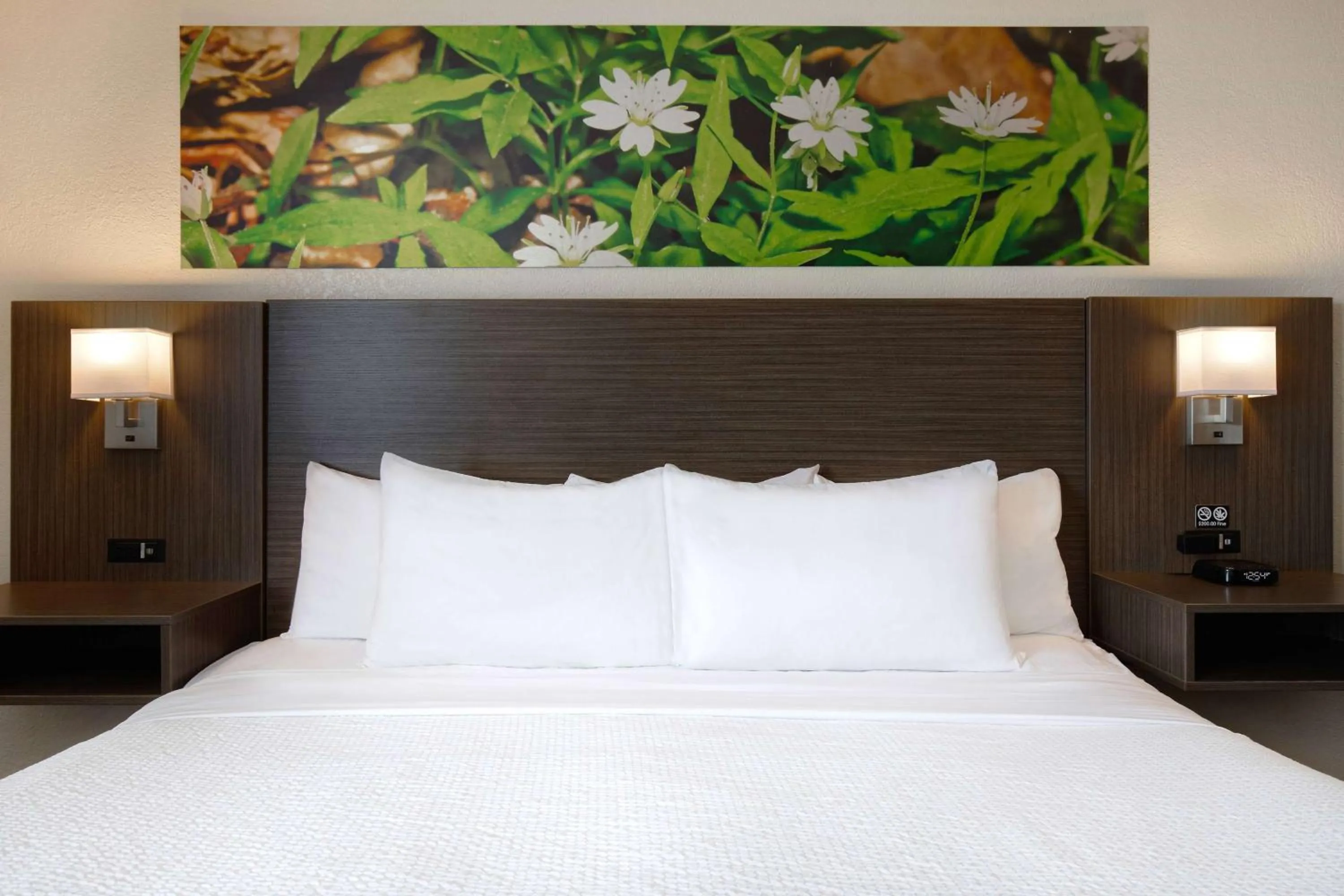 Photo of the whole room, Bed in Days Inn & Conference Centre by Wyndham Prince Albert