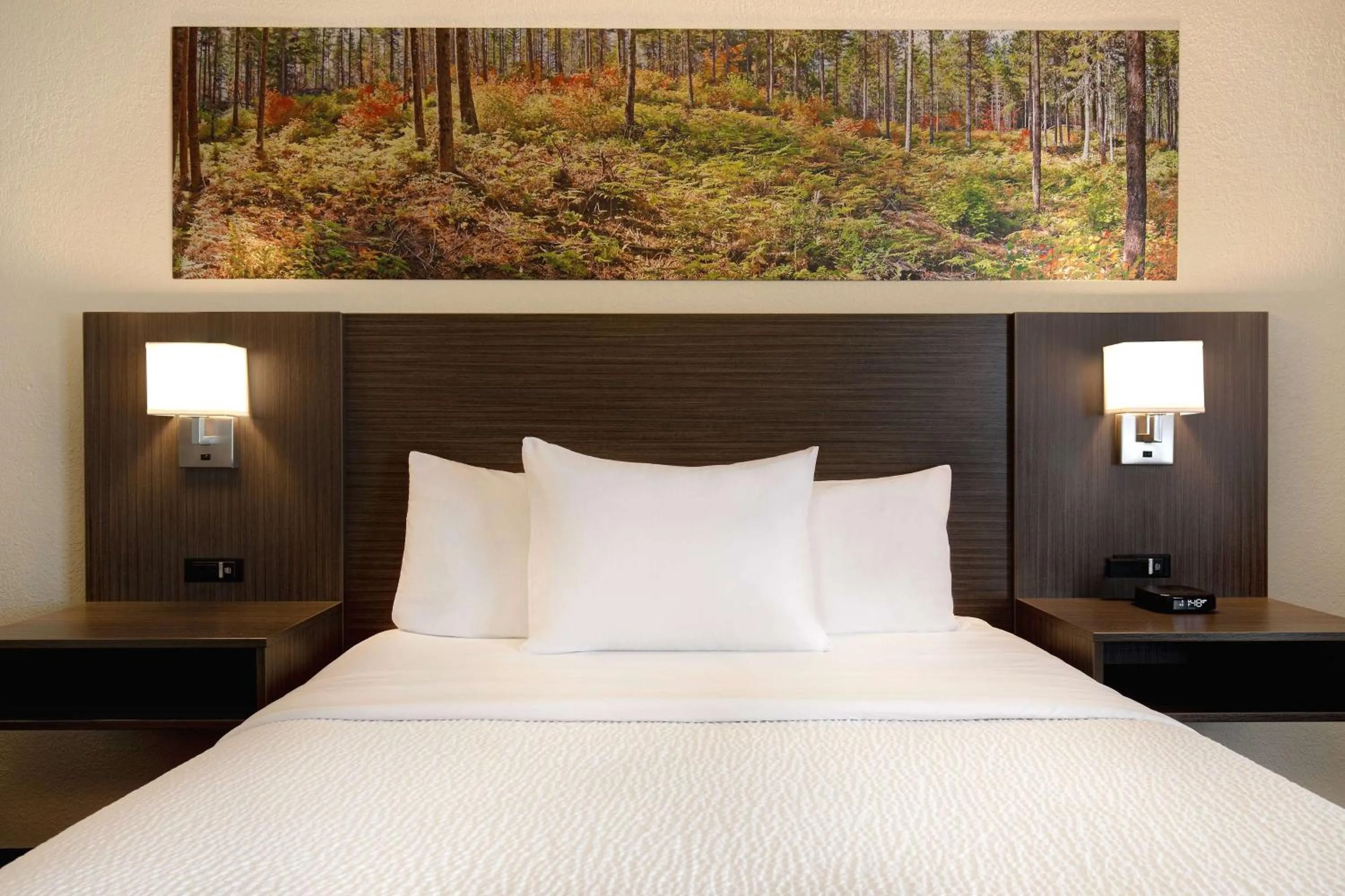 Photo of the whole room, Bed in Days Inn & Conference Centre by Wyndham Prince Albert