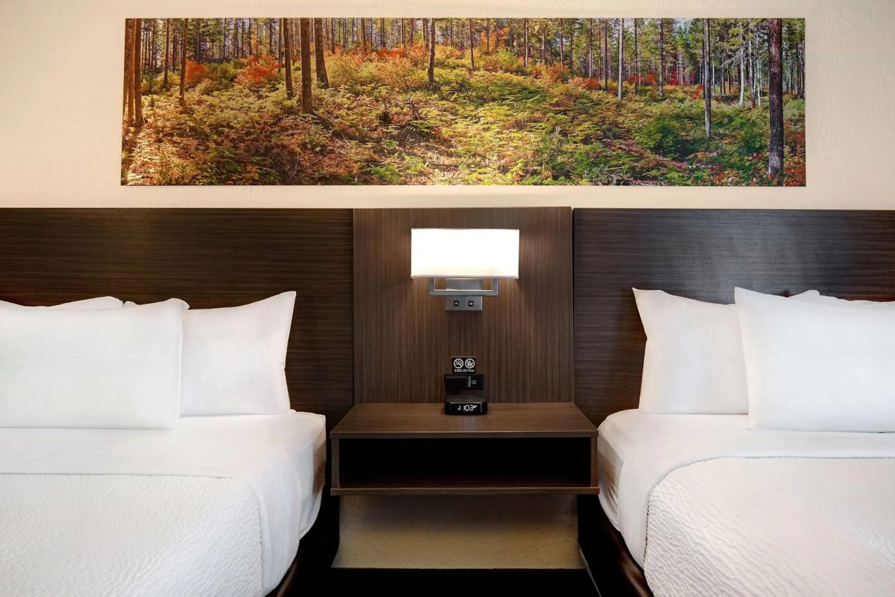 Photo of the whole room, Bed in Days Inn & Conference Centre by Wyndham Prince Albert Photo of the whole room, Bed in Days Inn & Conference Centre by Wyndham Prince Albert