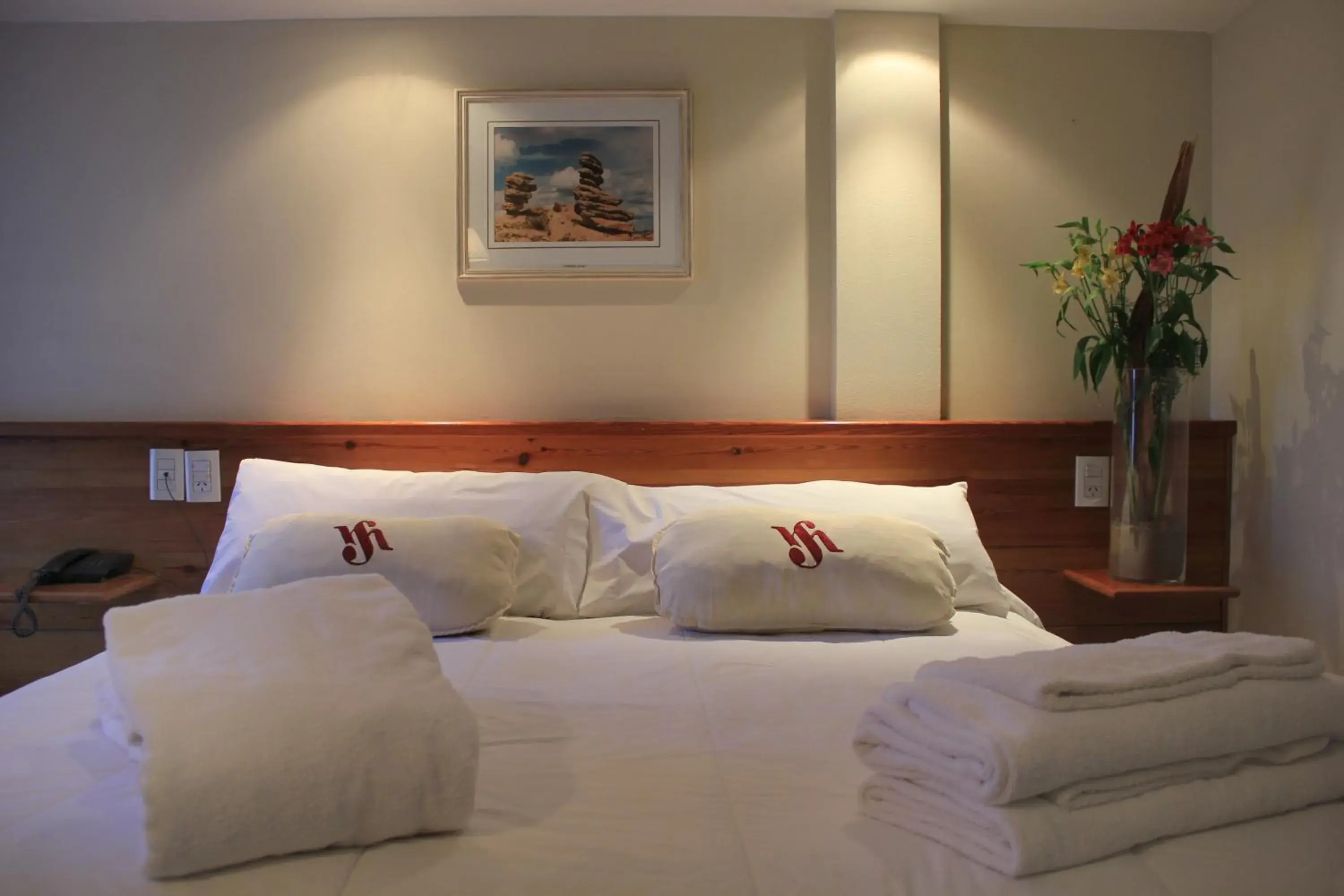 Double or Twin Room in San Martin Hotel y Spa Double or Twin Room in San Martin Hotel y Spa
