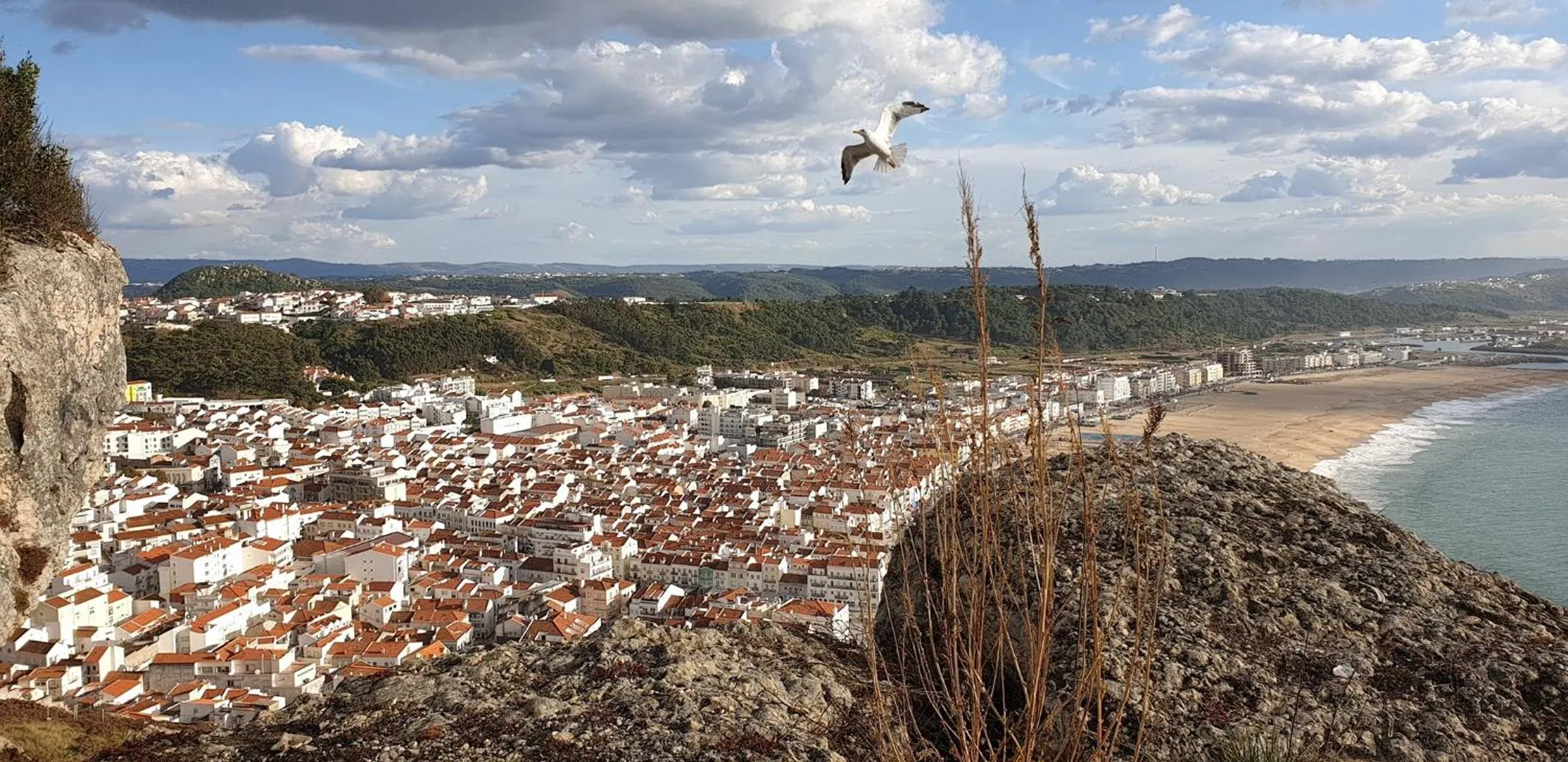 Other in By the Beach