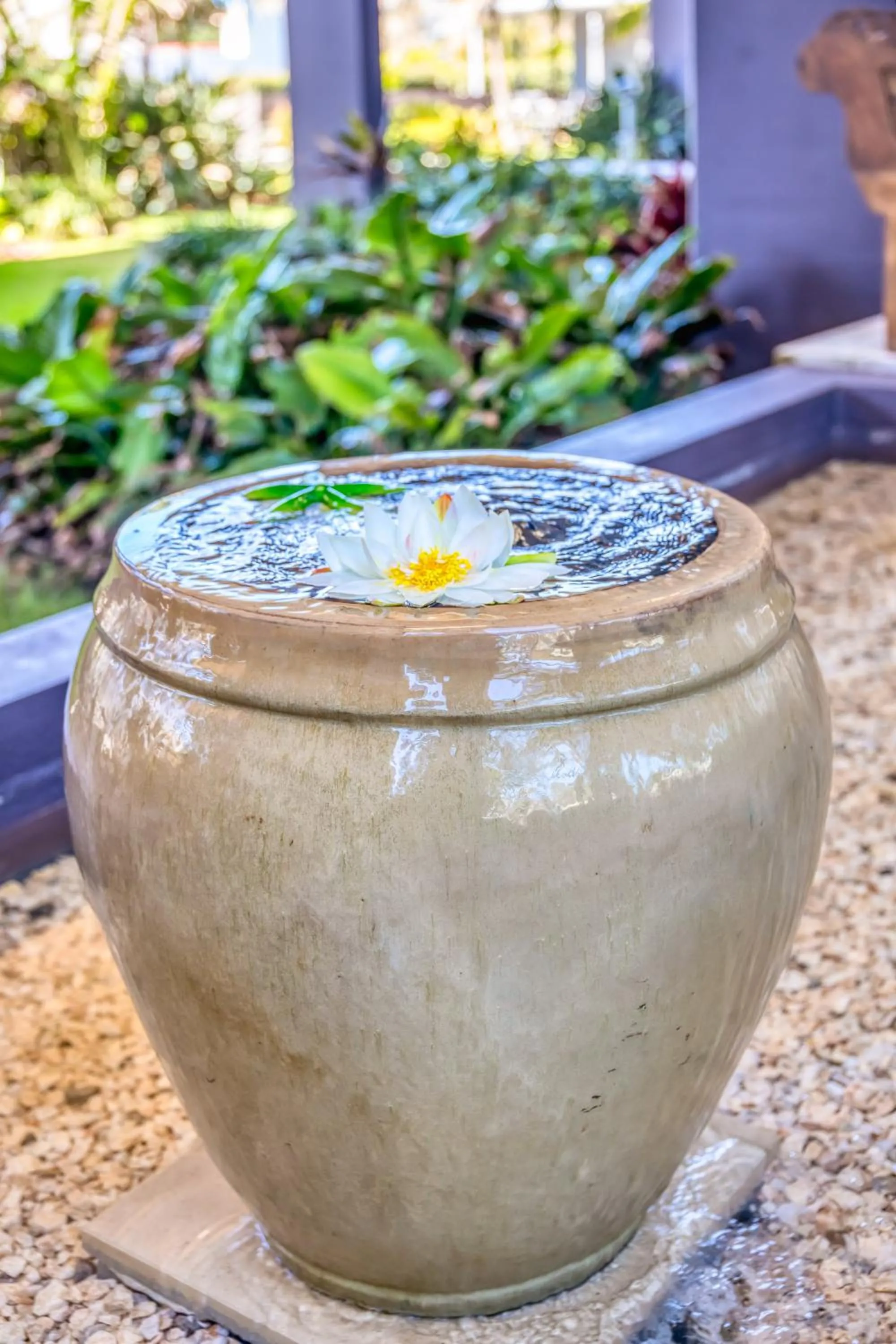 Garden in On The Beach Resort Bribie Island