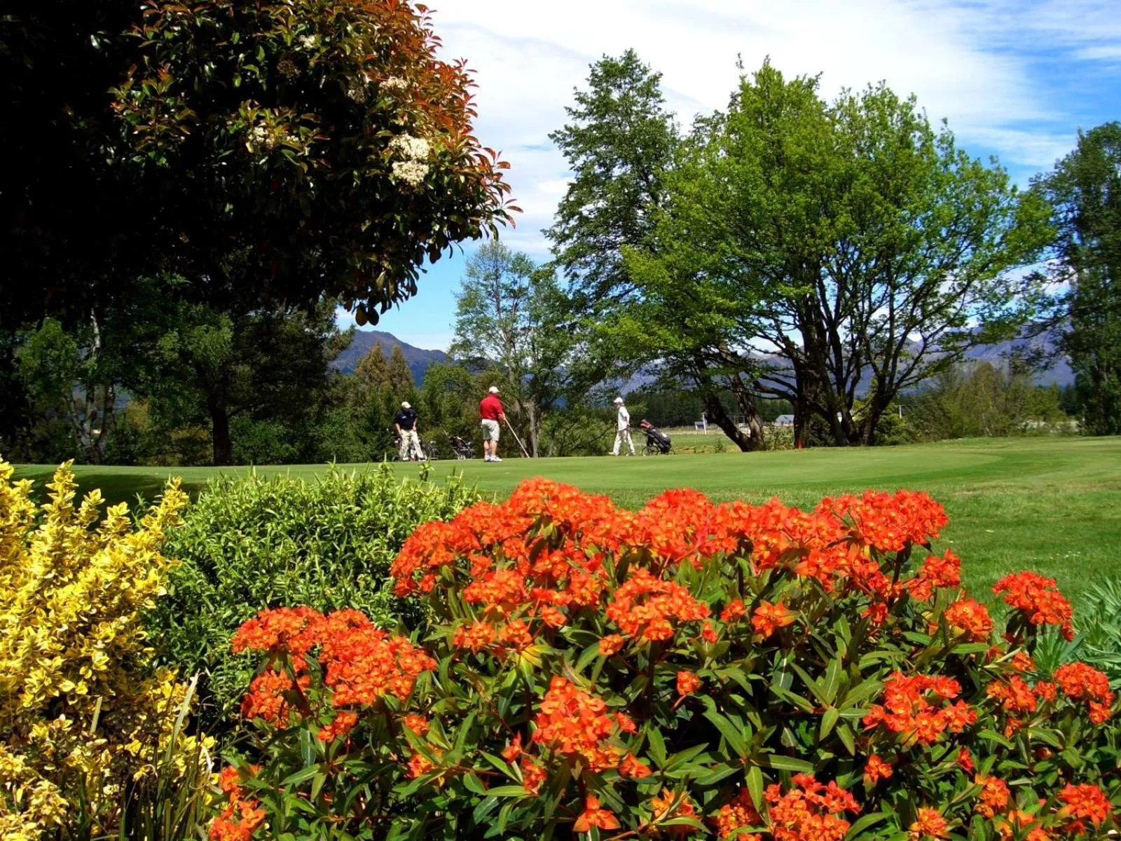 Golfcourse in Marchmont Gardens