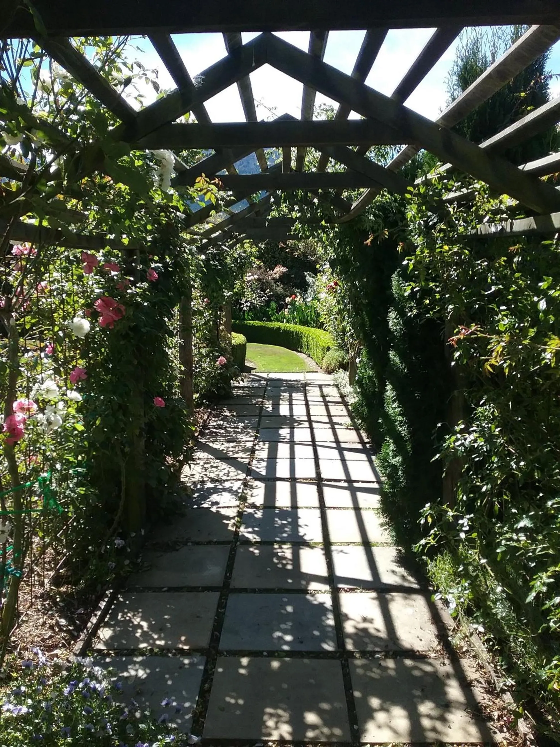 On site in Marchmont Gardens