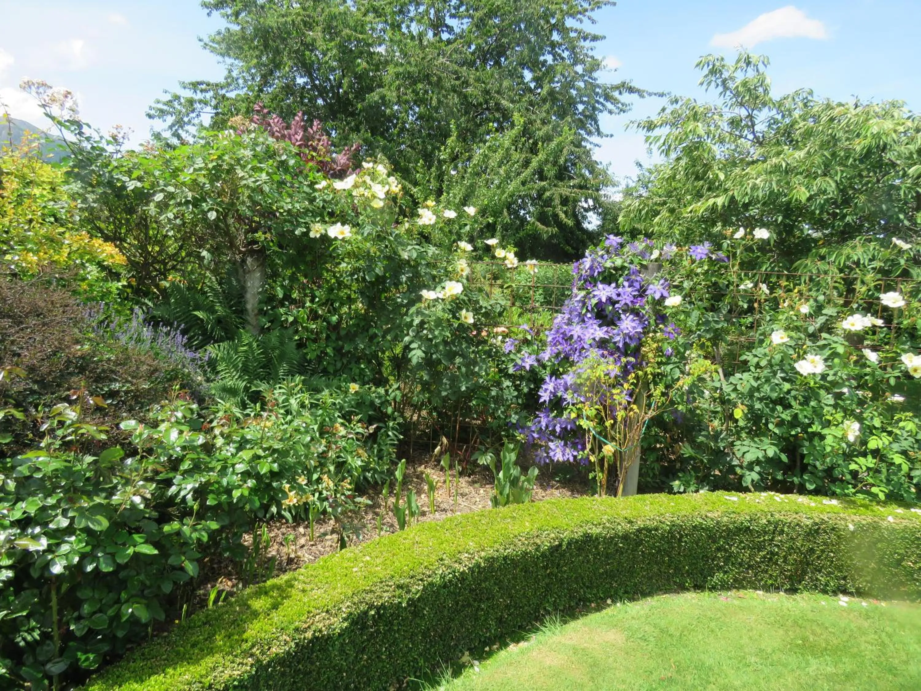 On site in Marchmont Gardens