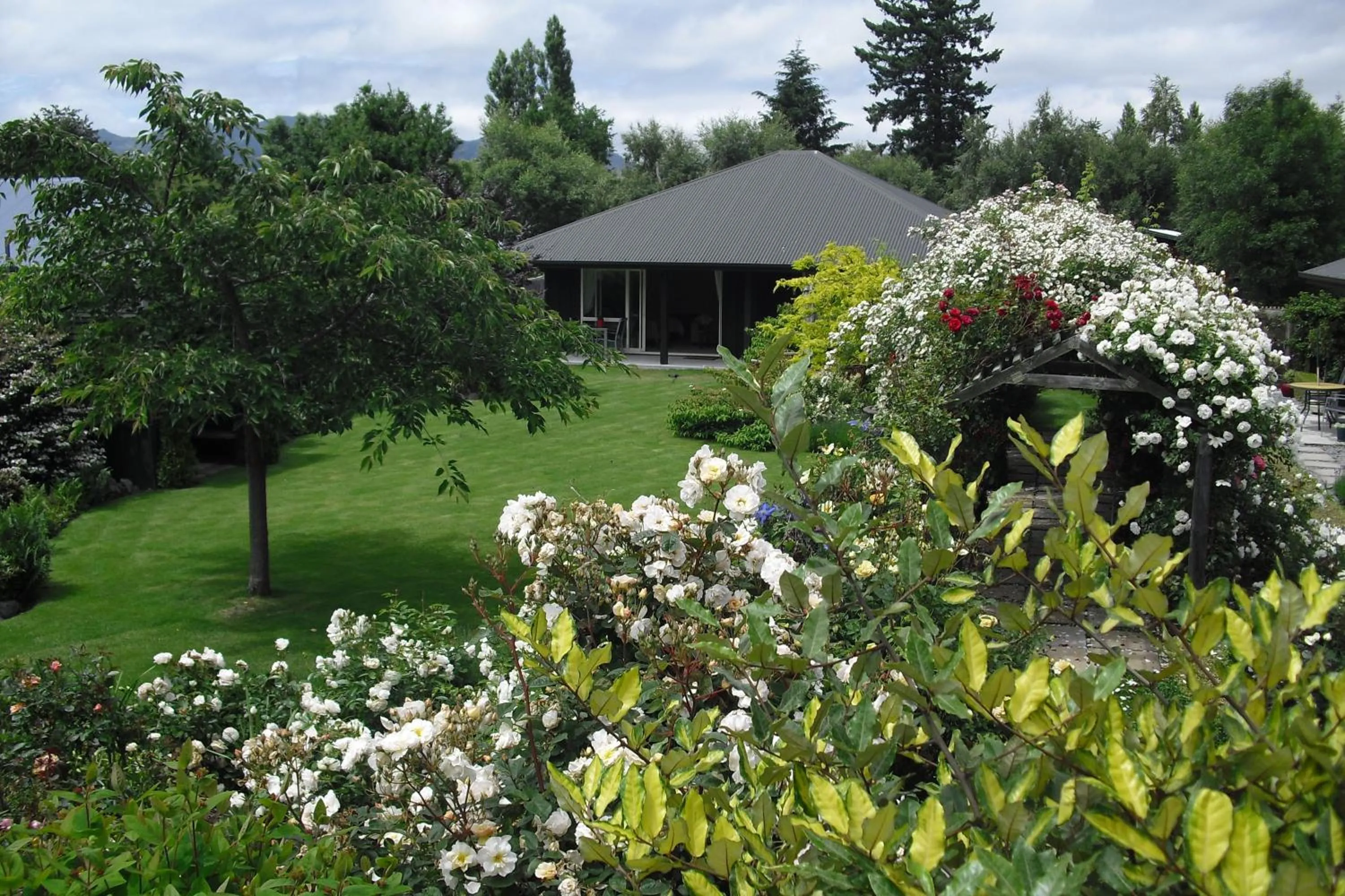 Garden in Marchmont Gardens