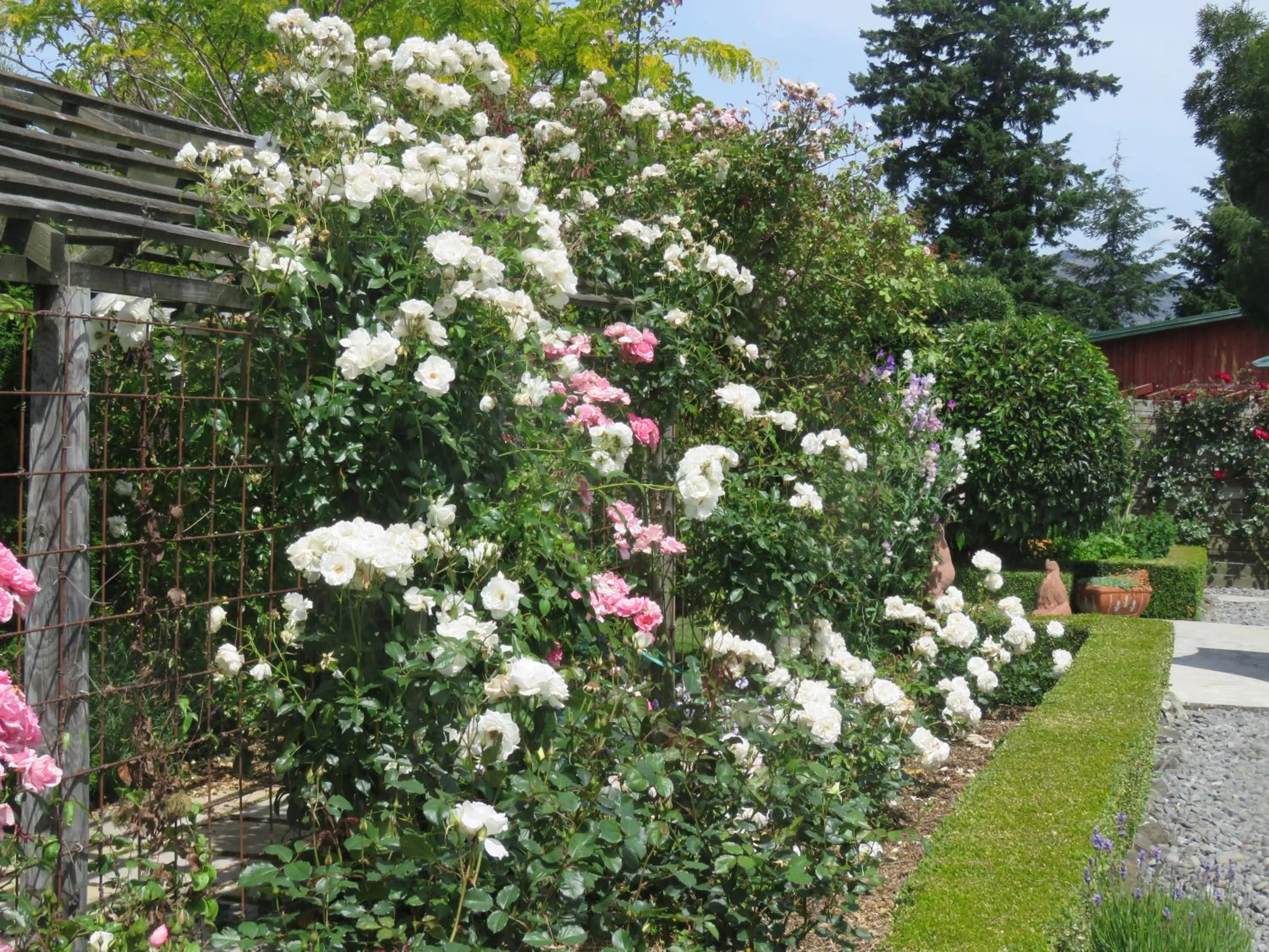 On site in Marchmont Gardens