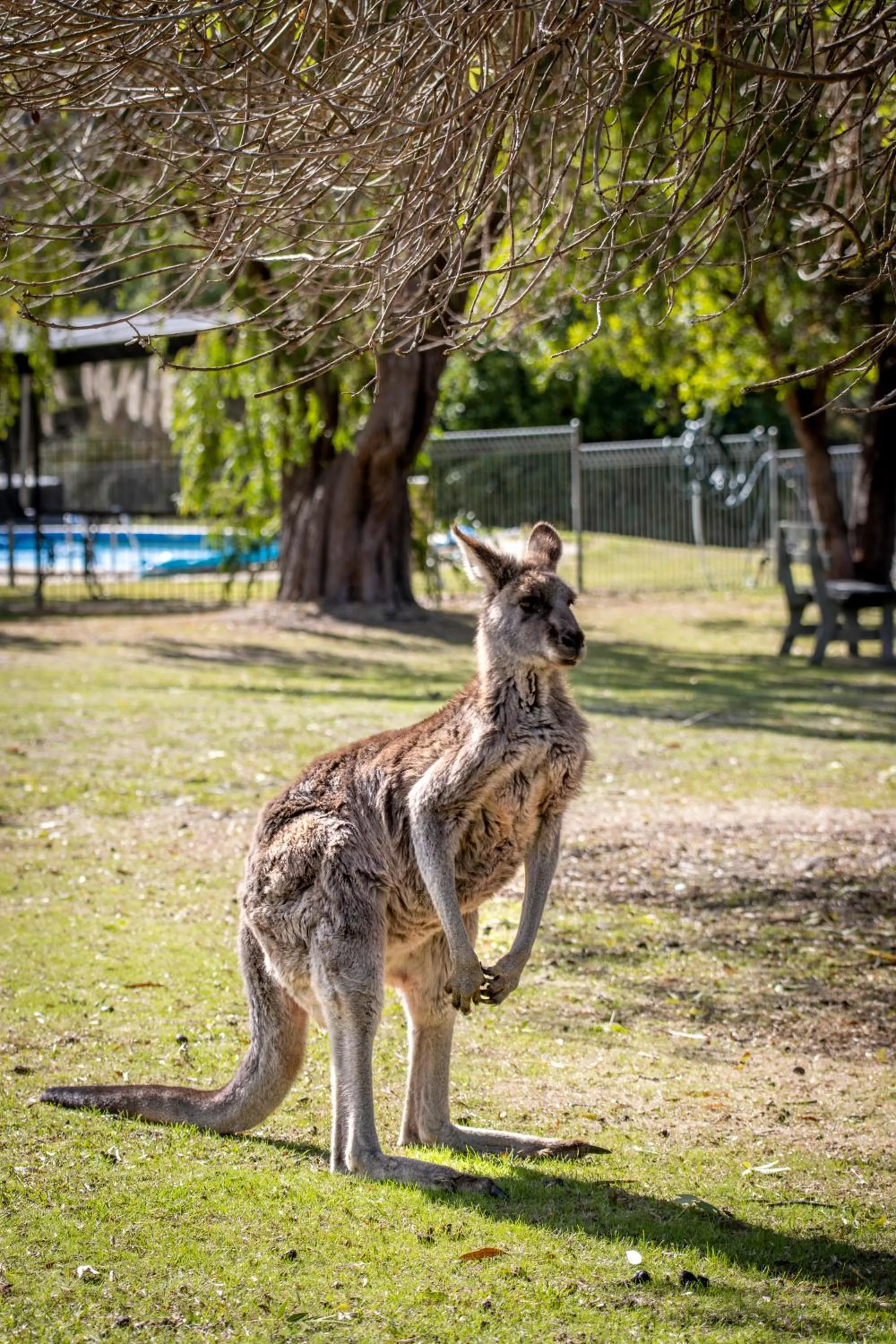 The Grampians Motel