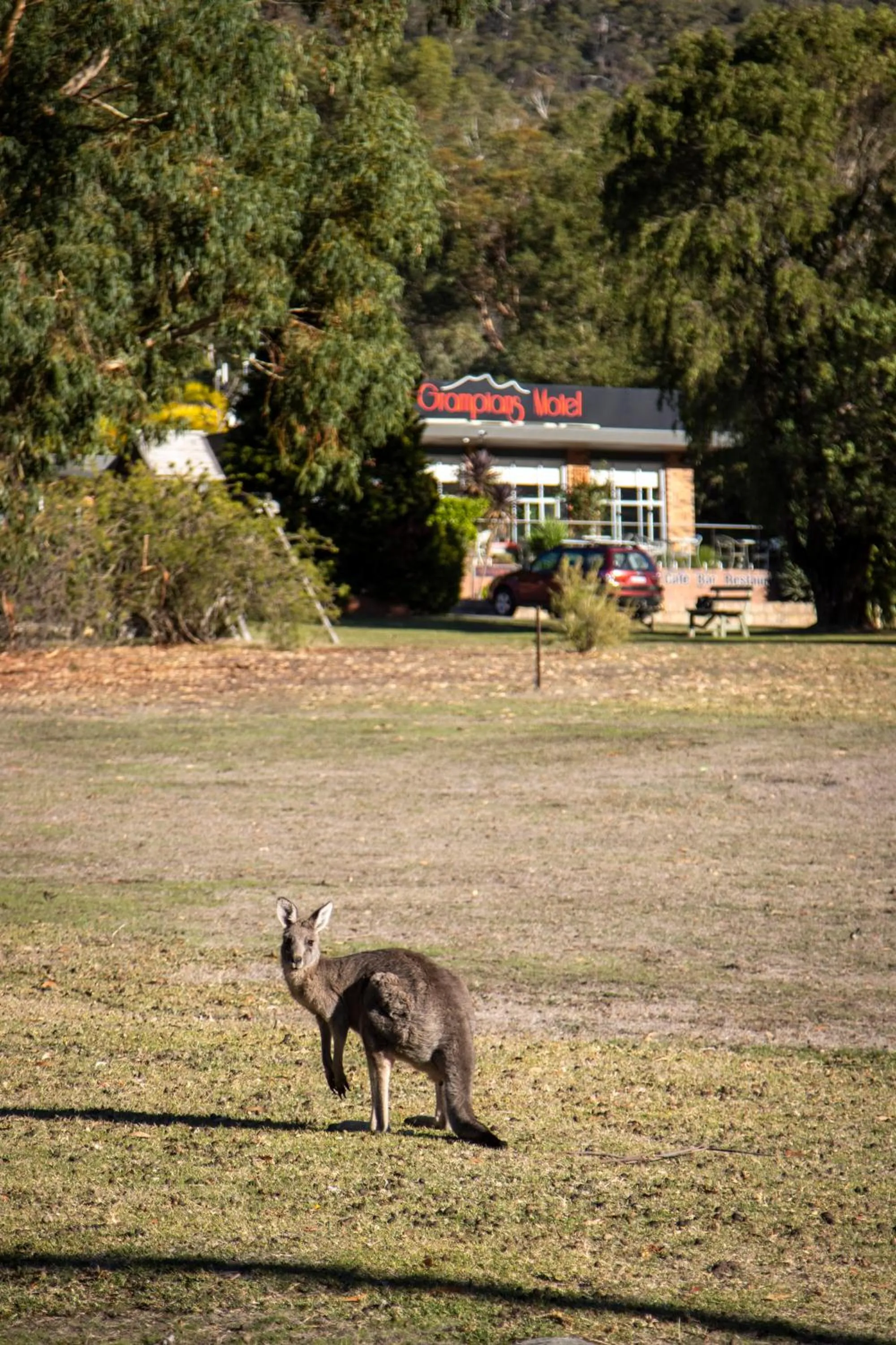 The Grampians Motel