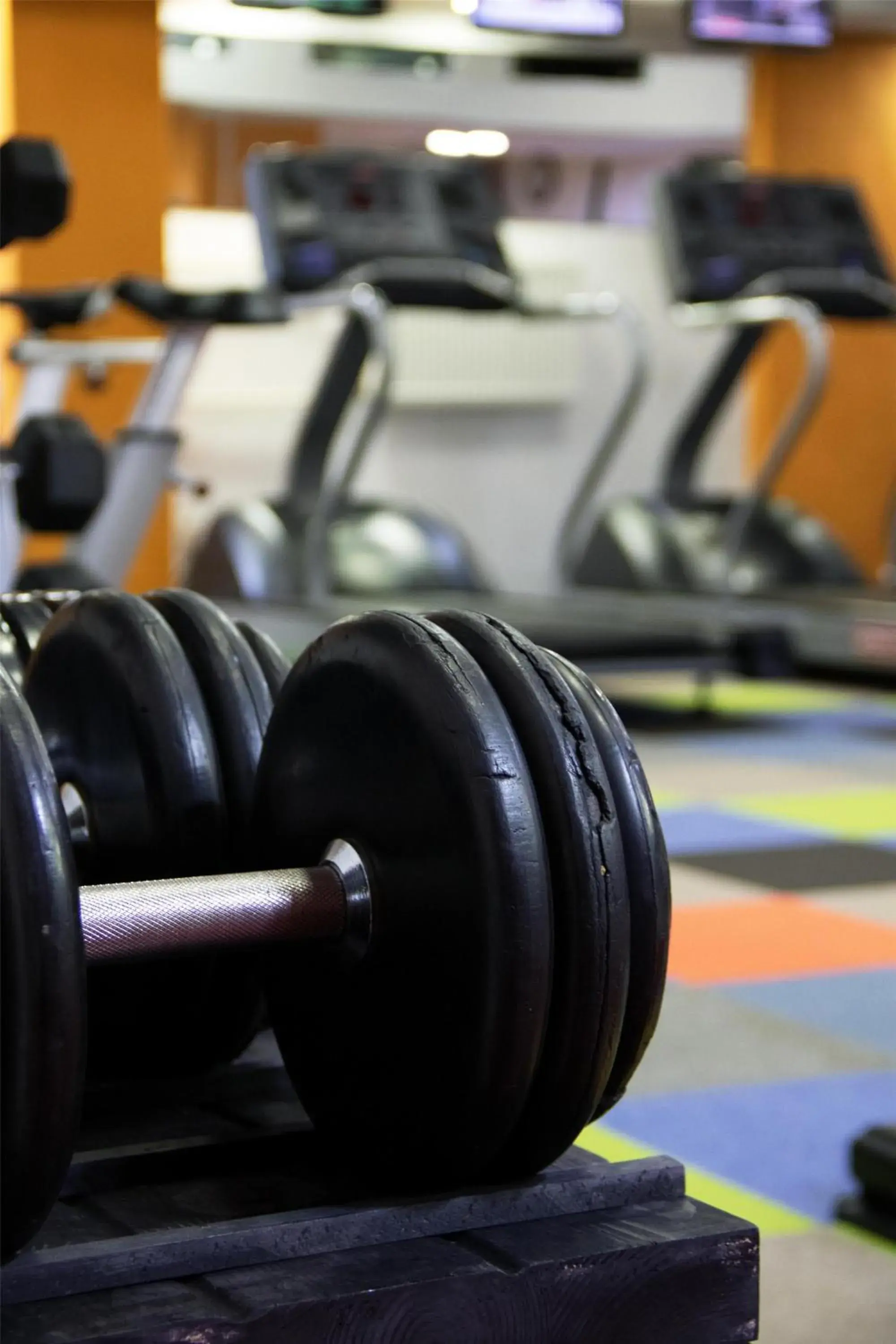 Fitness centre/facilities in Kempinski Hotel Khan Palace Fitness centre/facilities in Kempinski Hotel Khan Palace