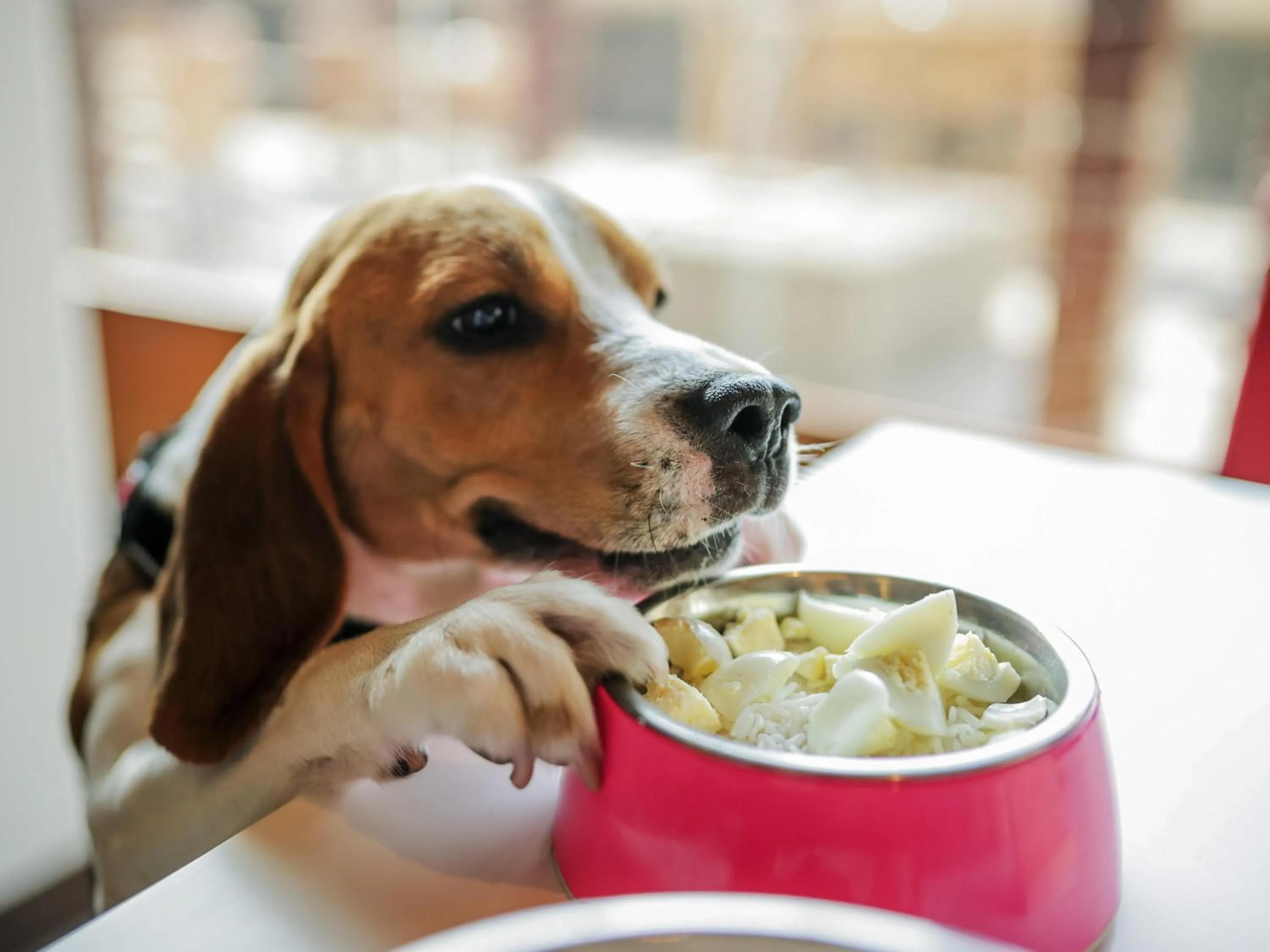 Other in ibis Nashik - An Accor Brand