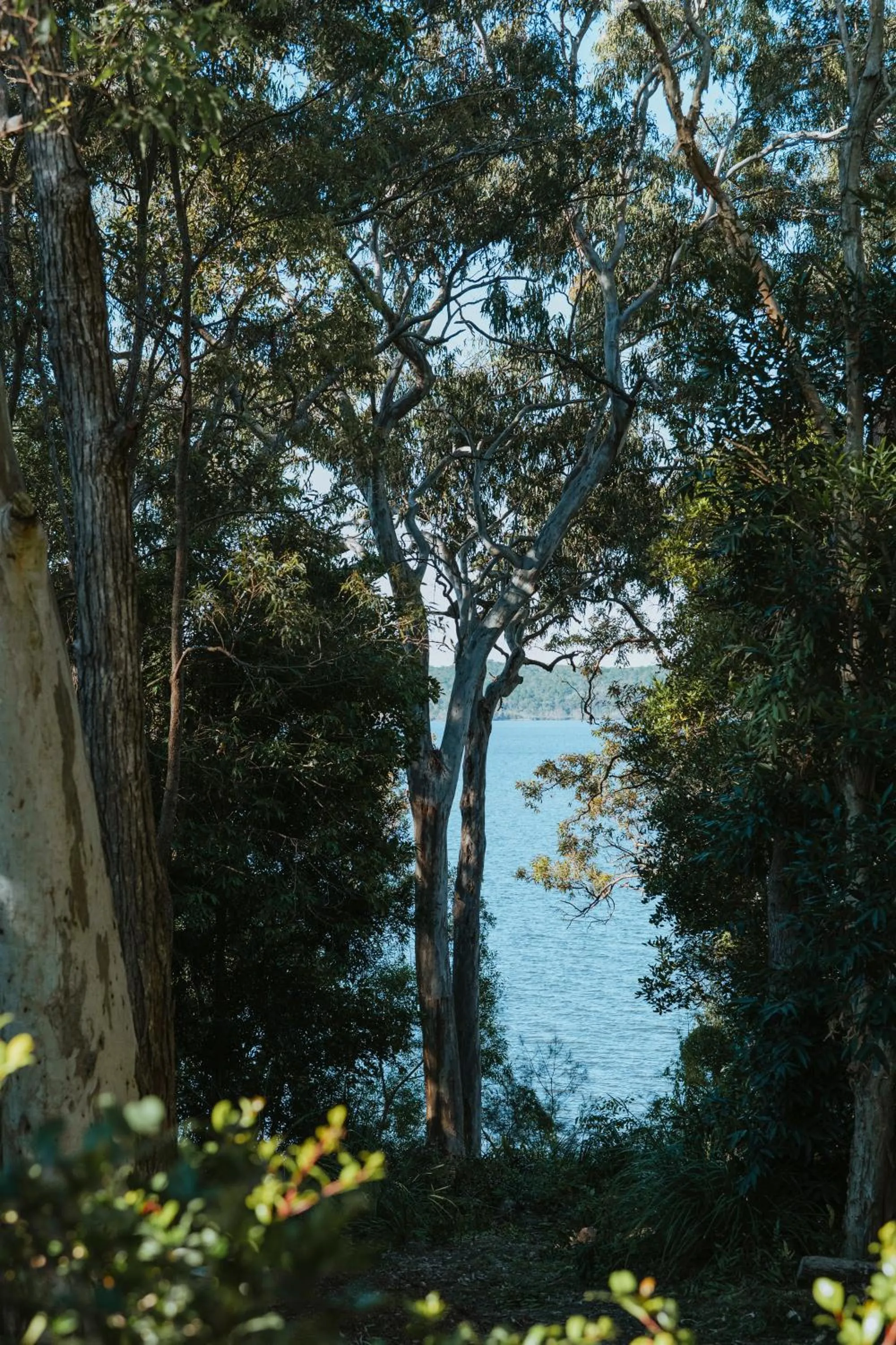 Lake view in Eumarella Shores Noosa Lake Retreat