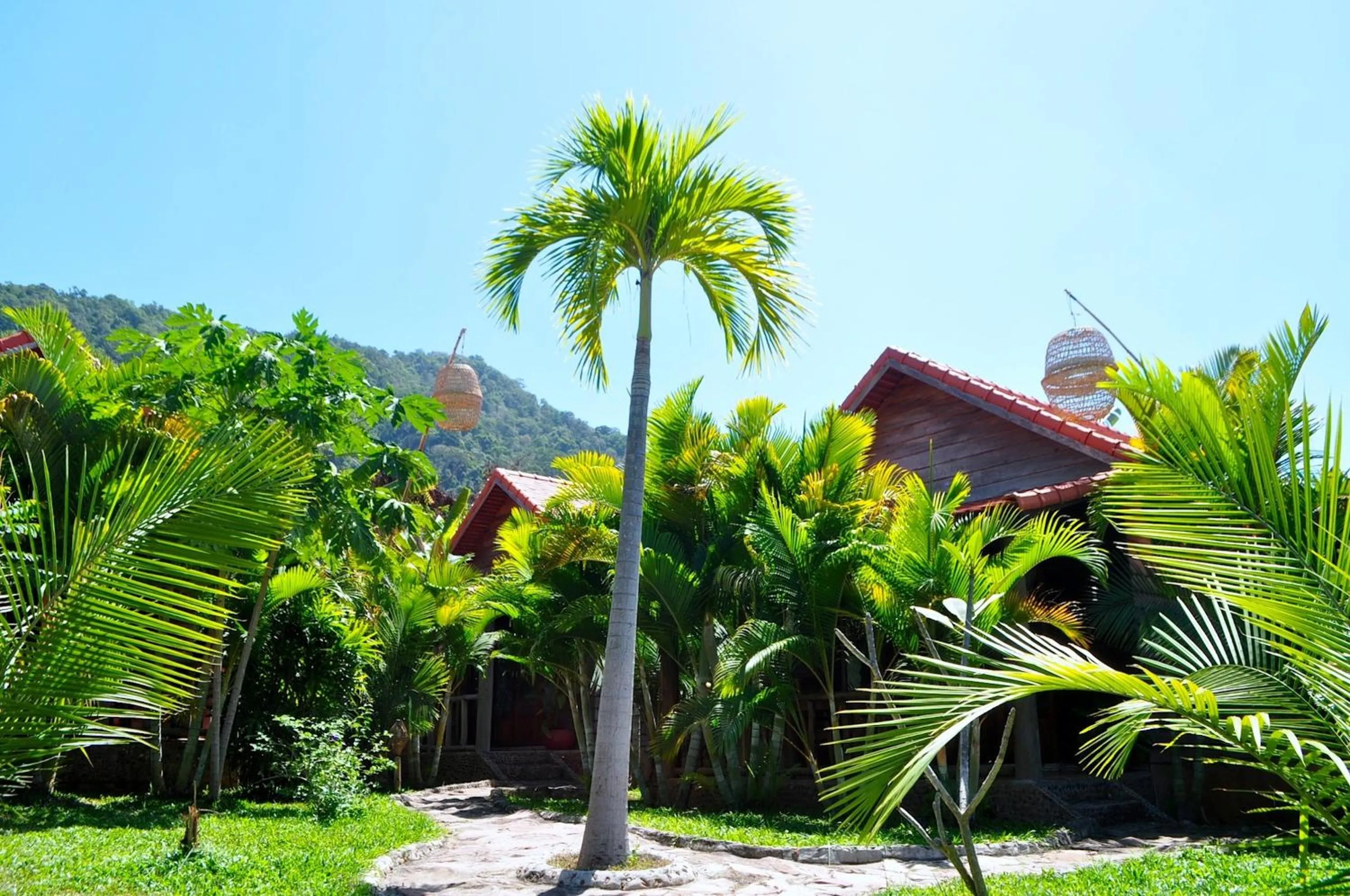 Garden in Raingsey Bungalow