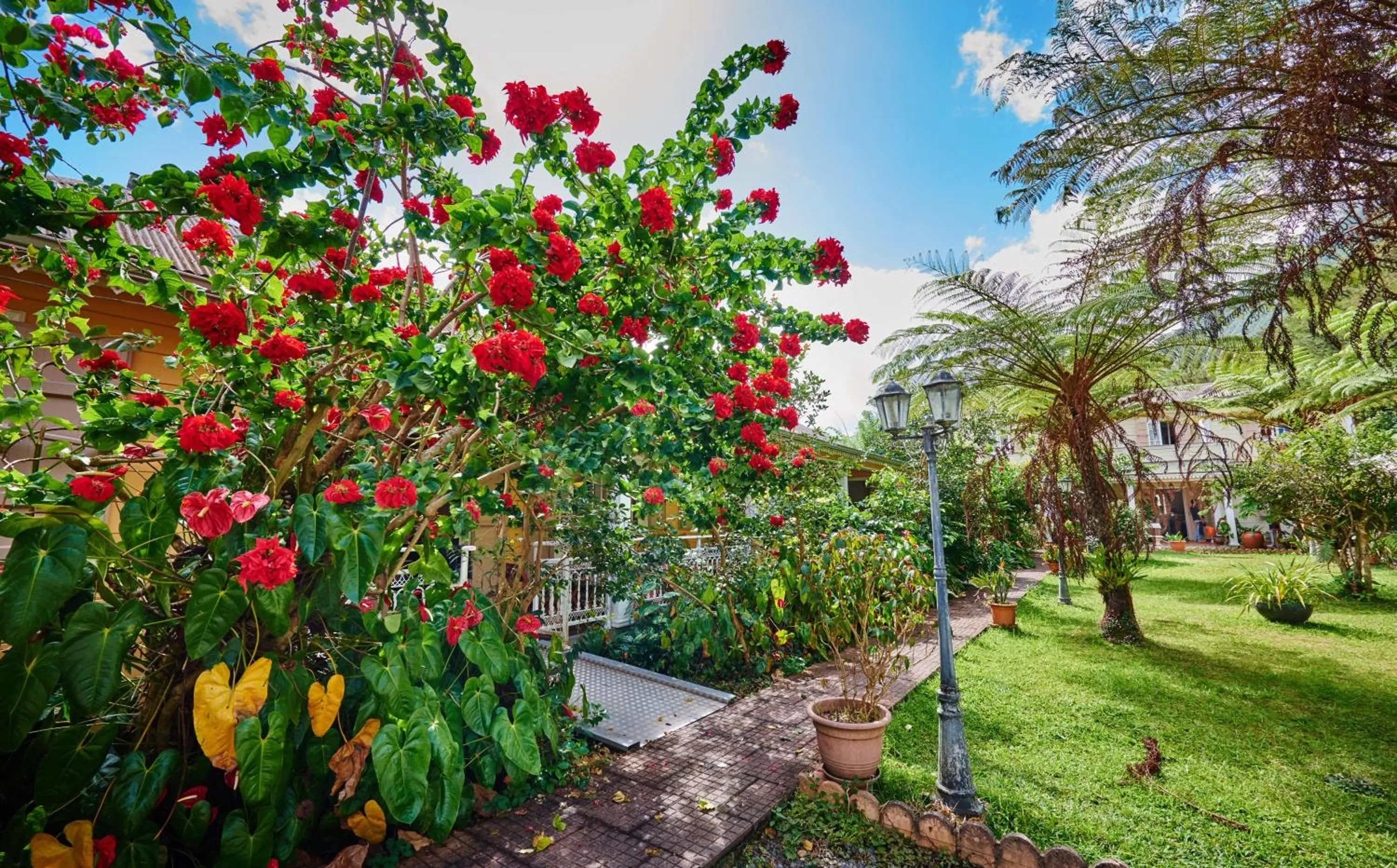 Garden view in Relais Des Gouverneurs