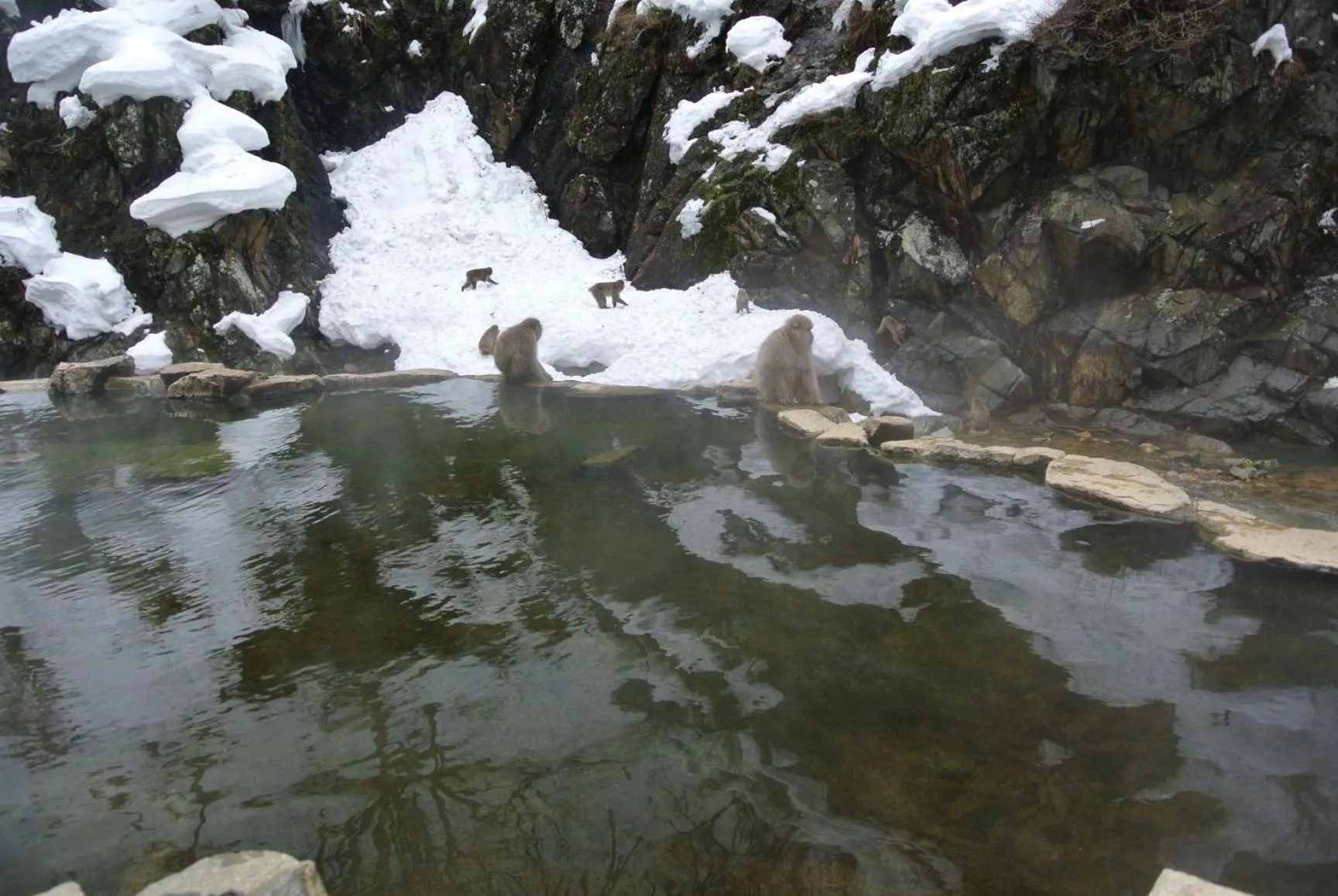 Natural landscape in White Tree Log House Madarao Tangram