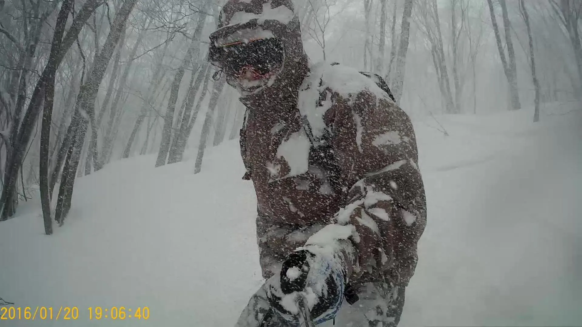 Winter in White Tree Log House Madarao Tangram