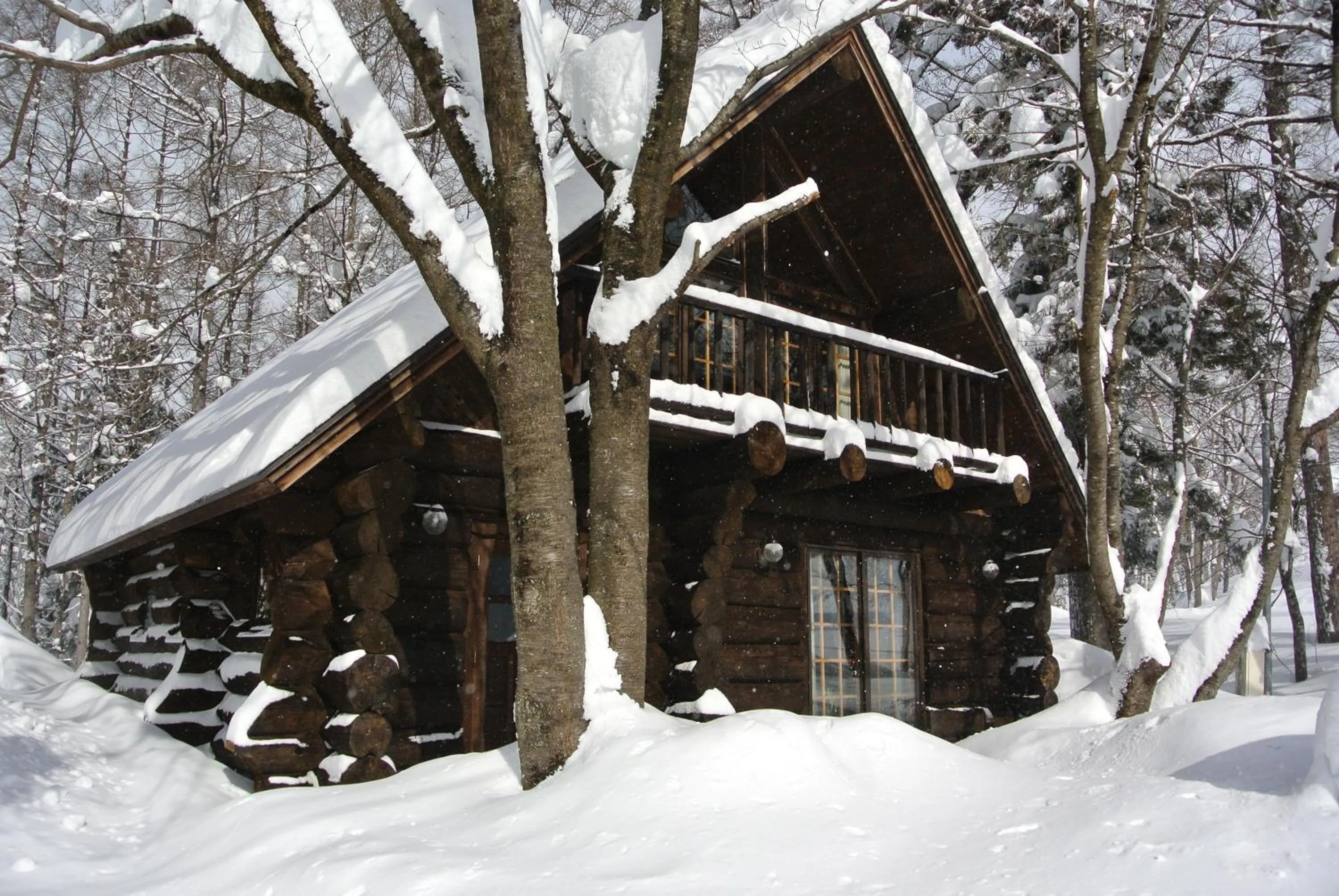 Property building in White Tree Log House Madarao Tangram