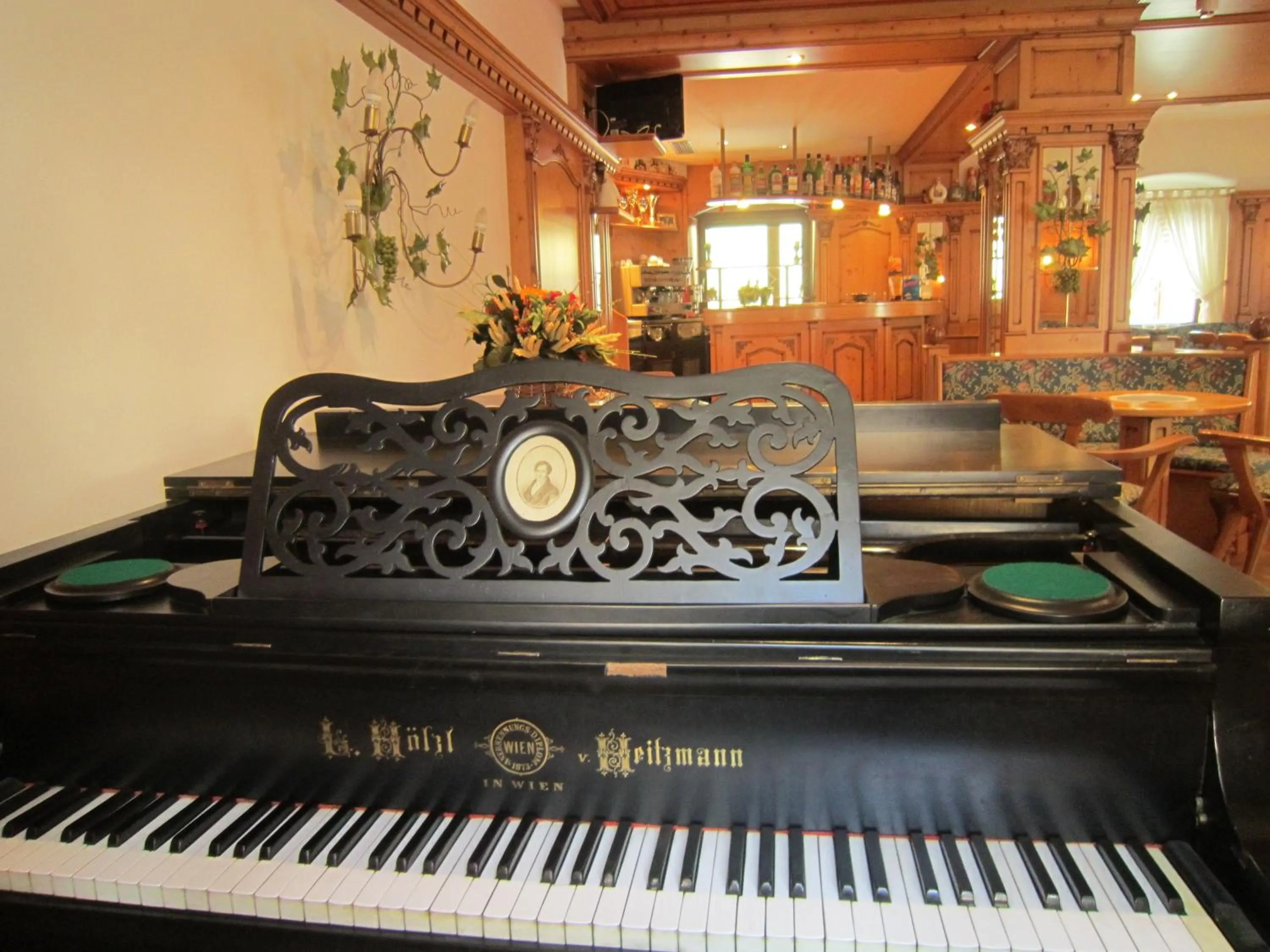 Lounge or bar in Hotel Alpina