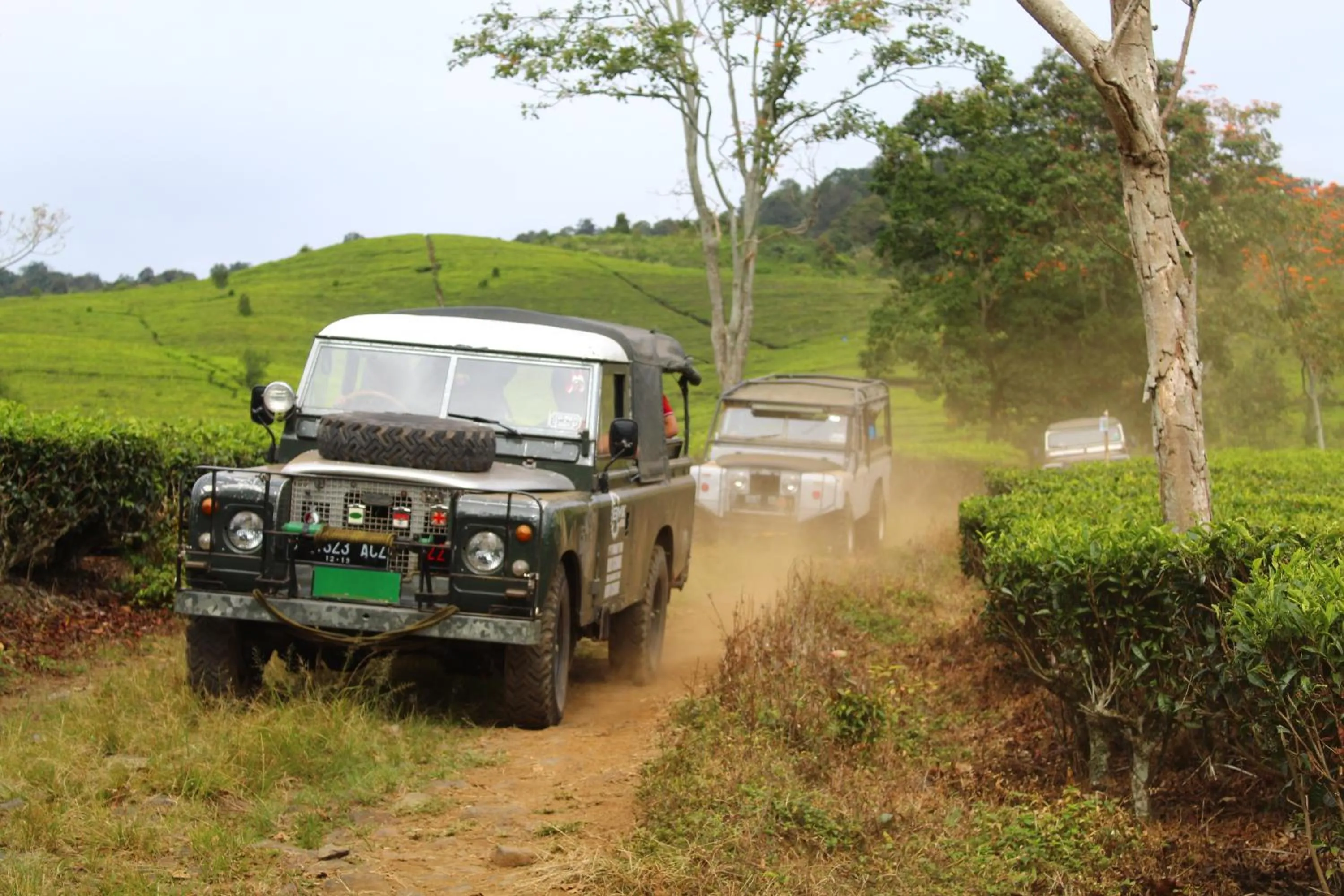 Area and facilities in Gracia Spa Resort Hotel