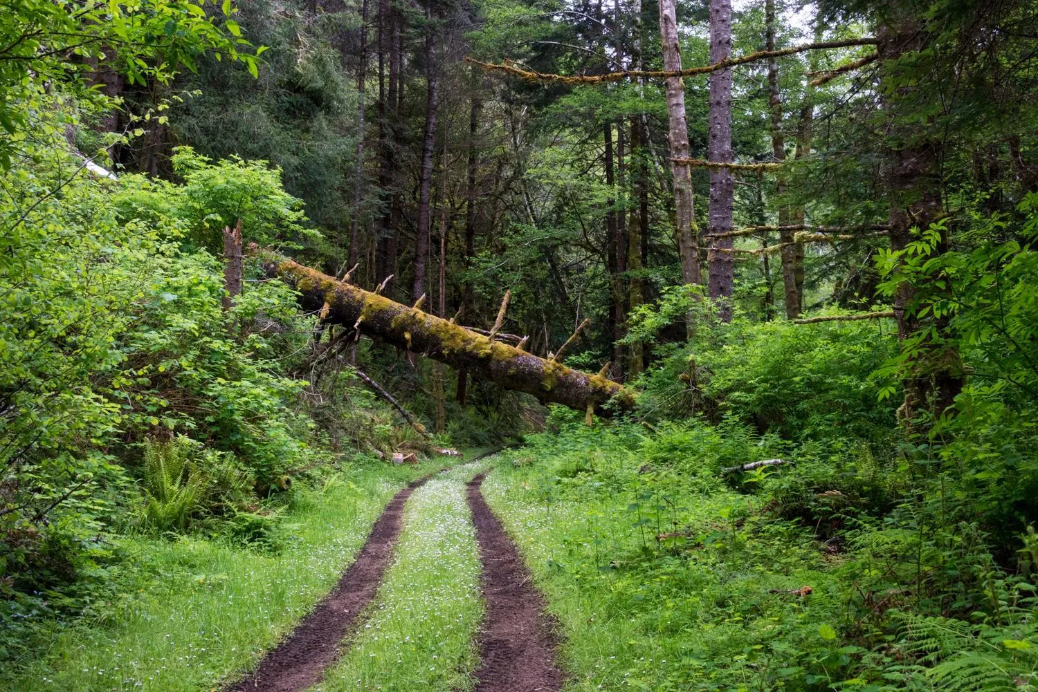 The Inn at Newport Ranch
