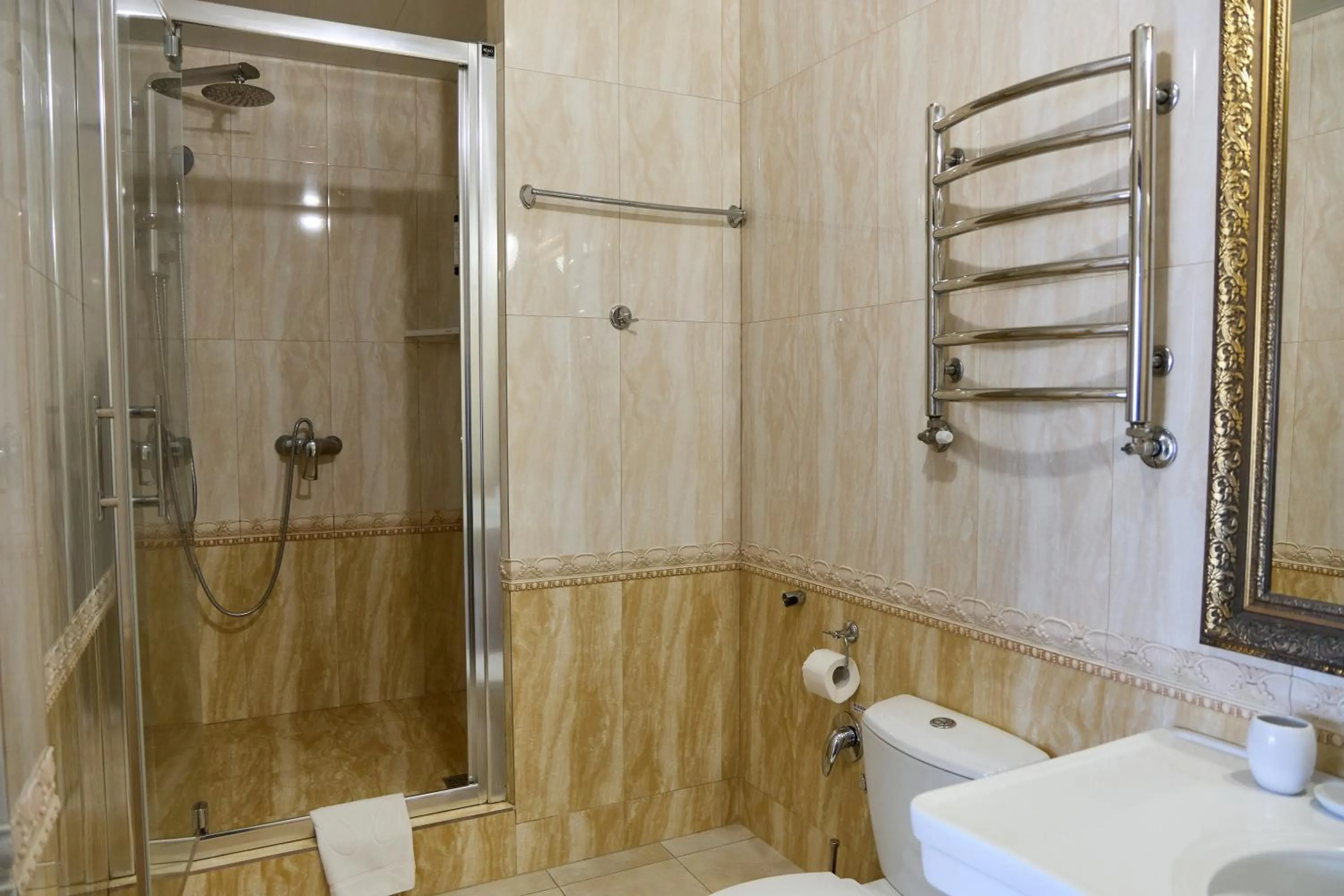 Shower in Hotel Plazma