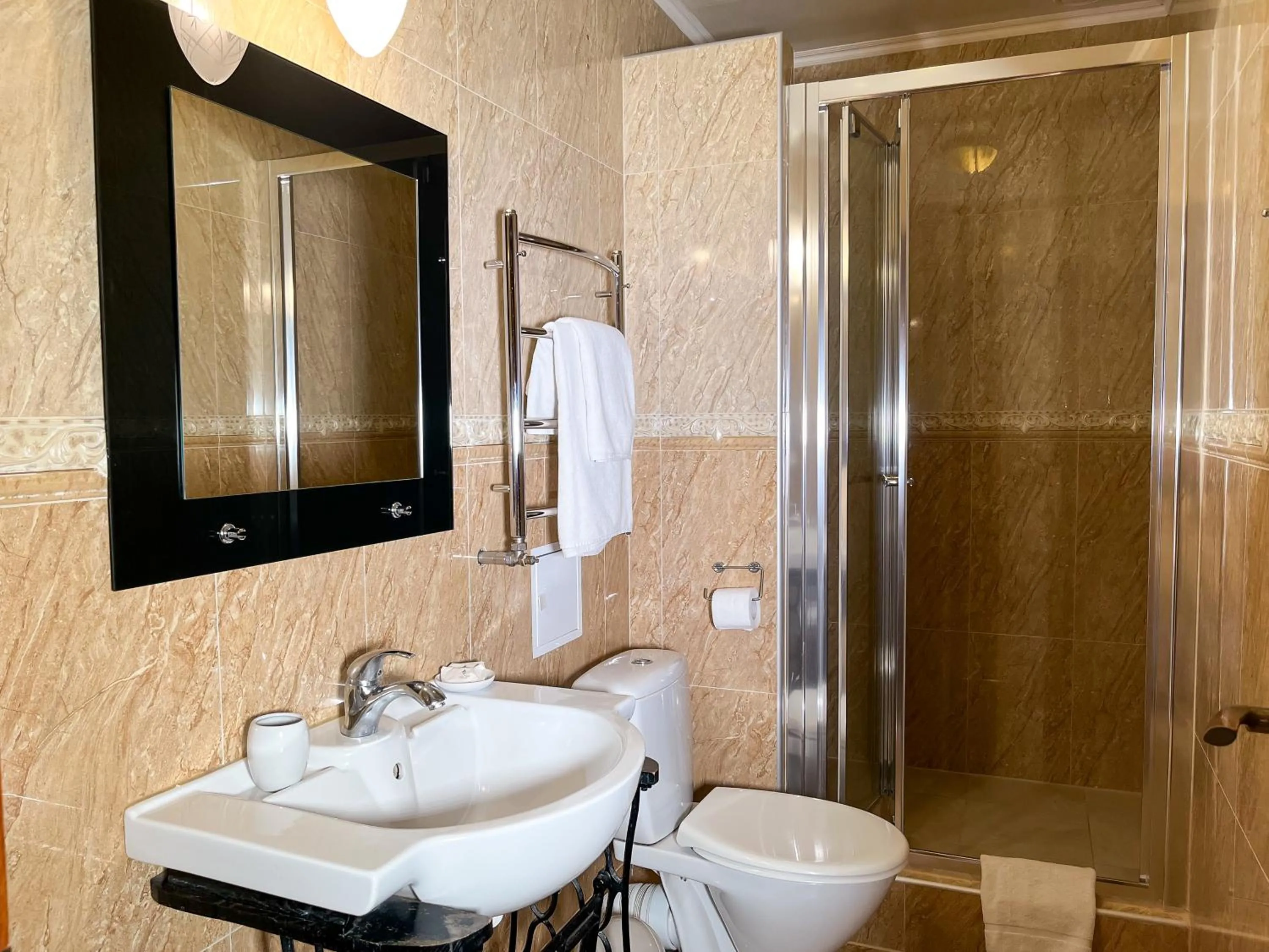 Shower in Hotel Plazma