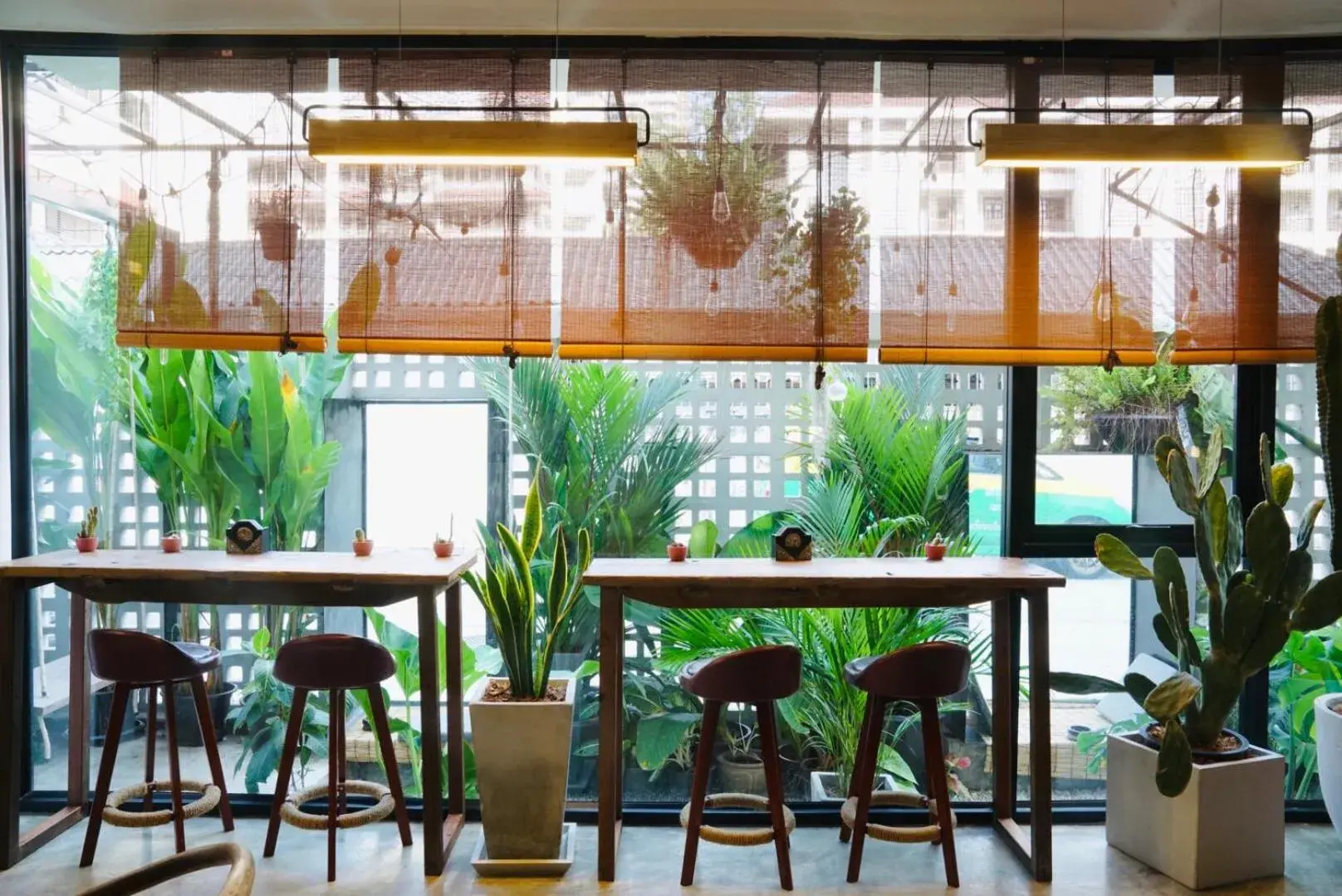 Restaurant/places to eat in YOLO Bangkok Boutique Hotel Restaurant/places to eat in YOLO Bangkok Boutique Hotel