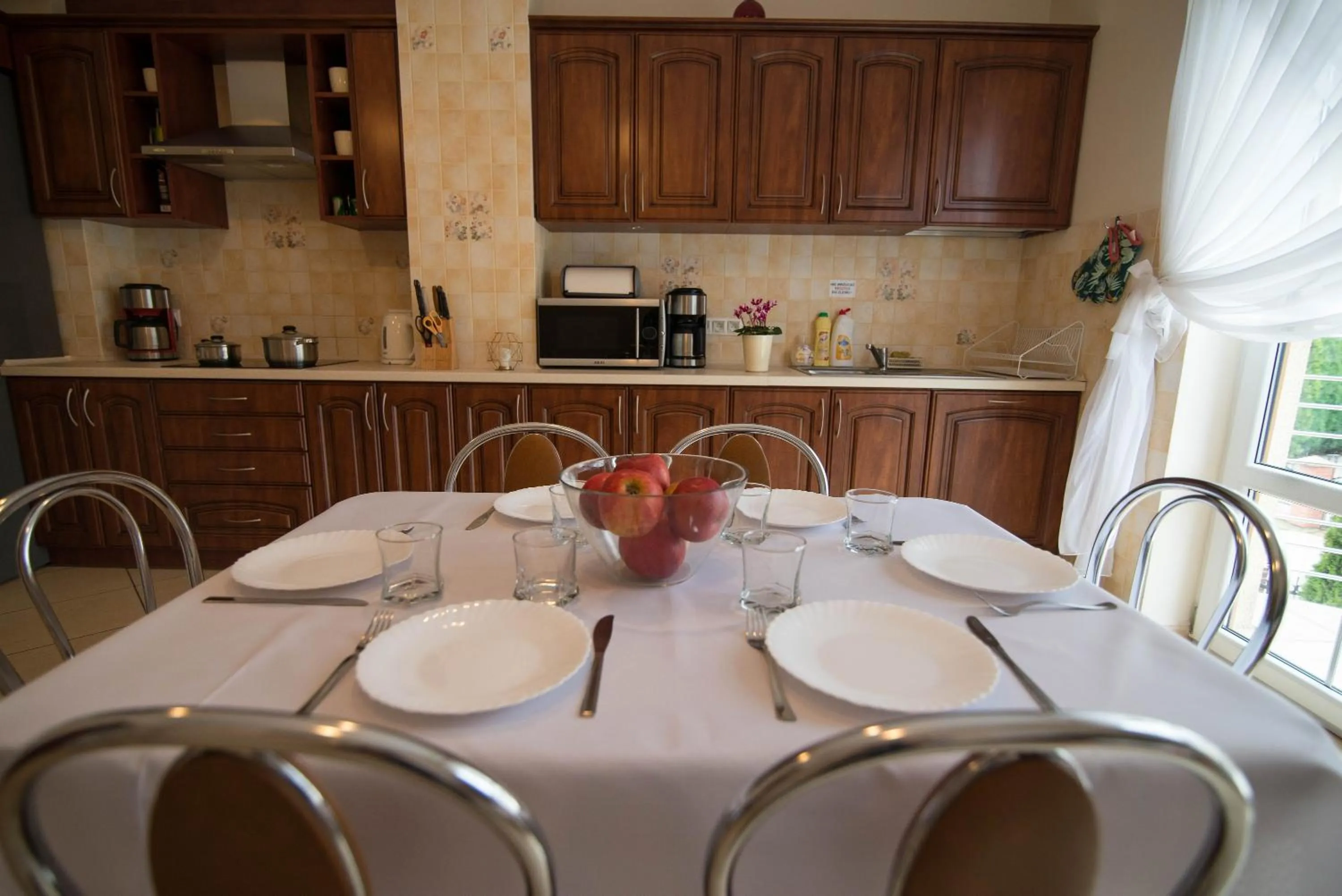 Kitchen or kitchenette in Villa BALTICA