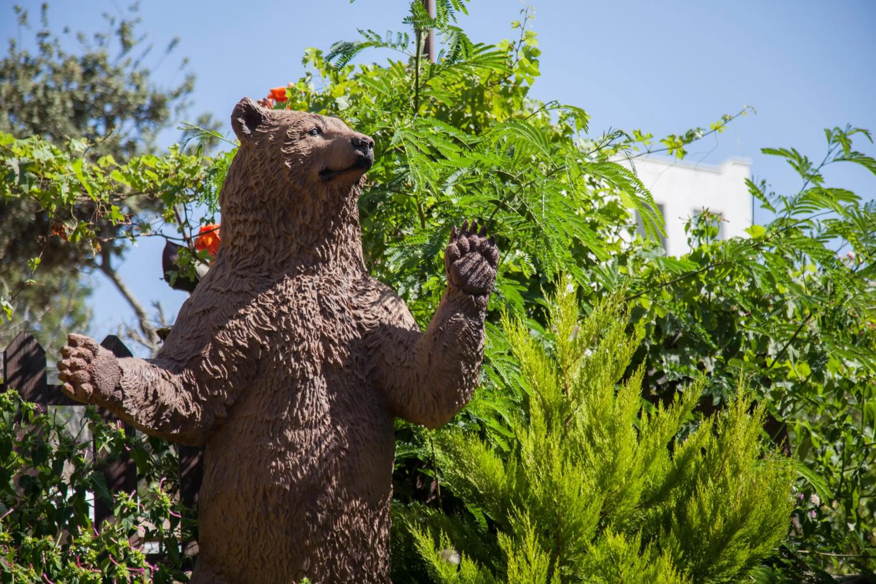 Animals in Crystal Hotel Bodrum