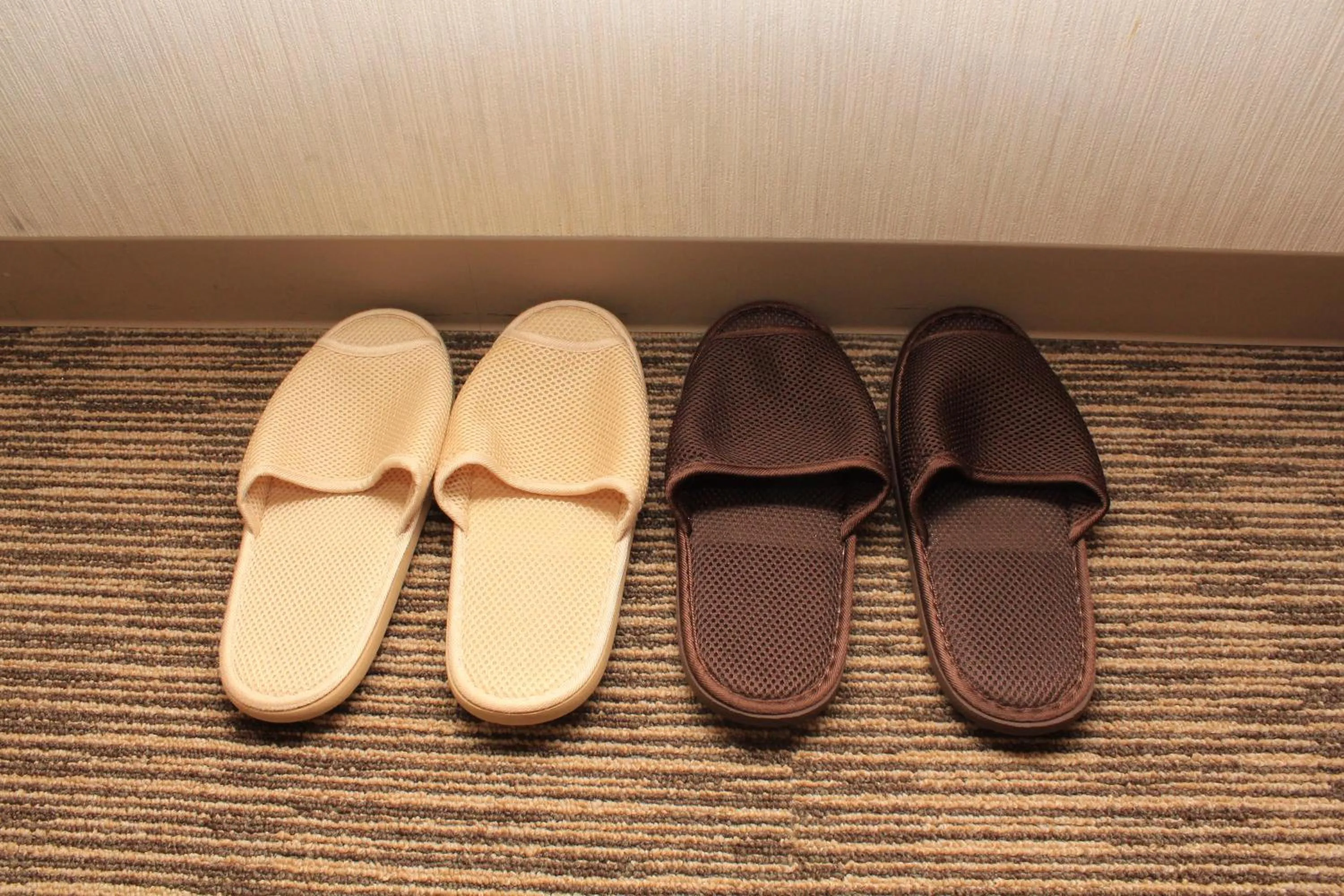 Other in Asahikawa Toyo Hotel