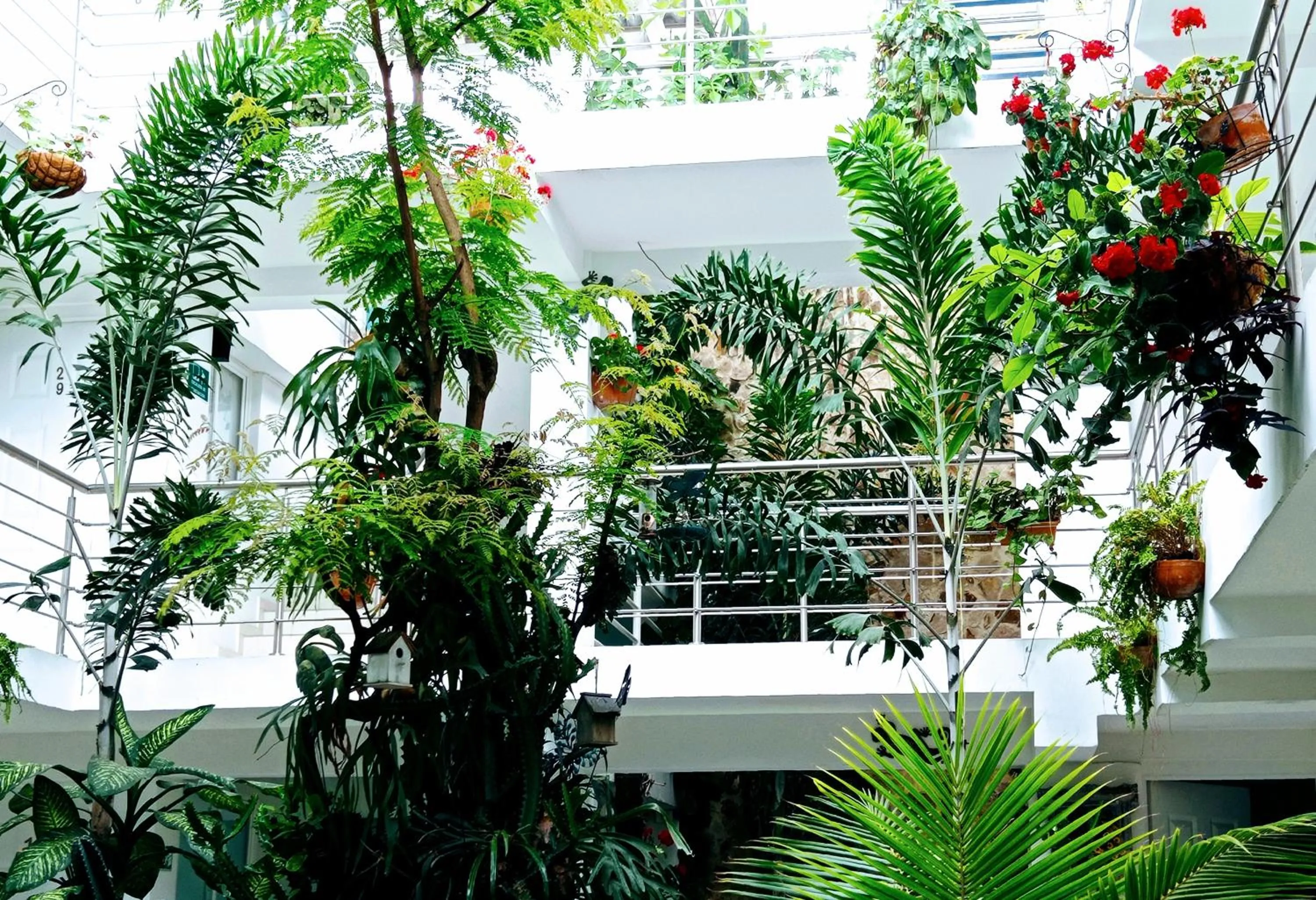 Property building in Hotel Boutique los Remansos