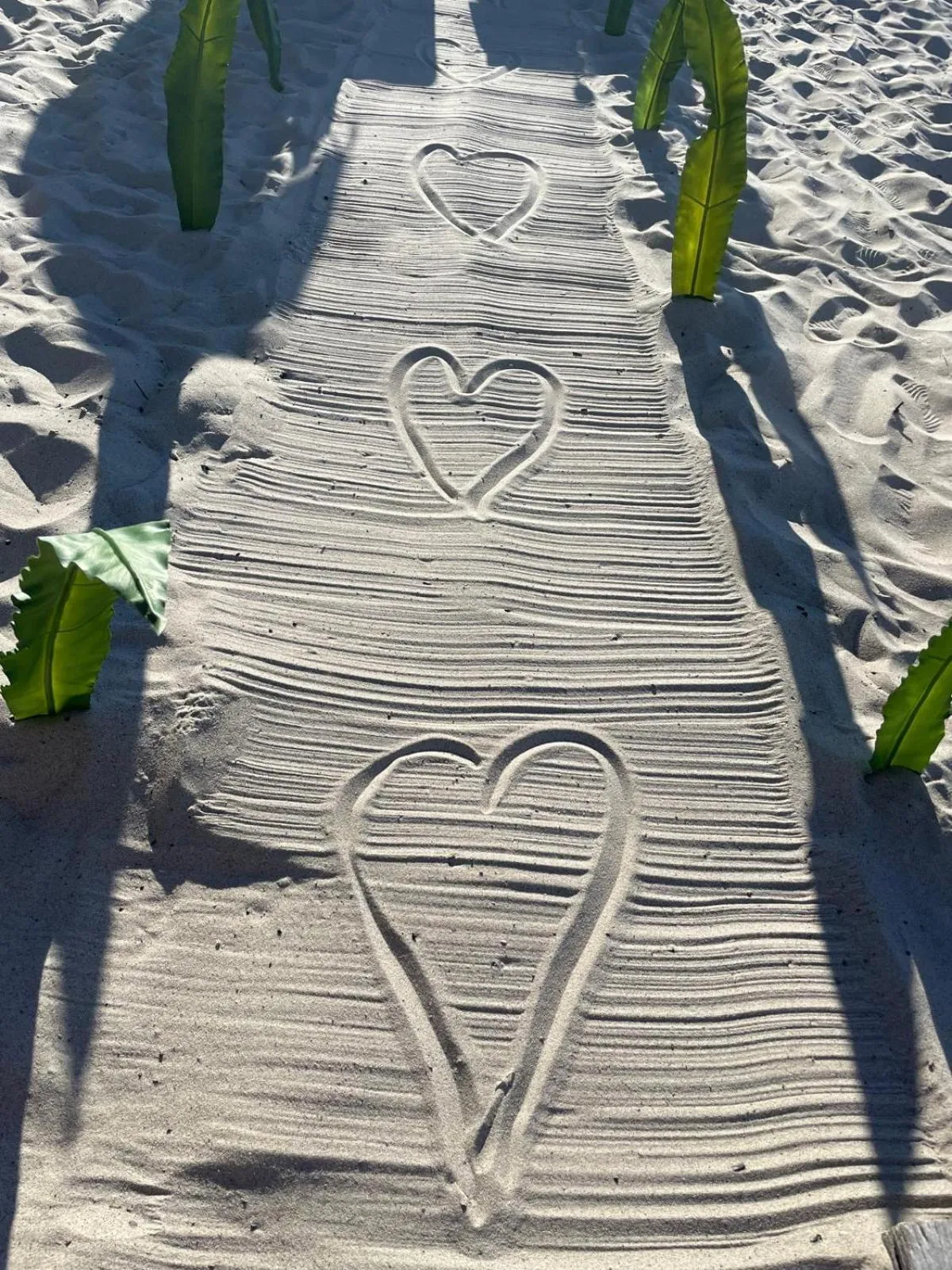 Beach in feels Beach Club Hotel