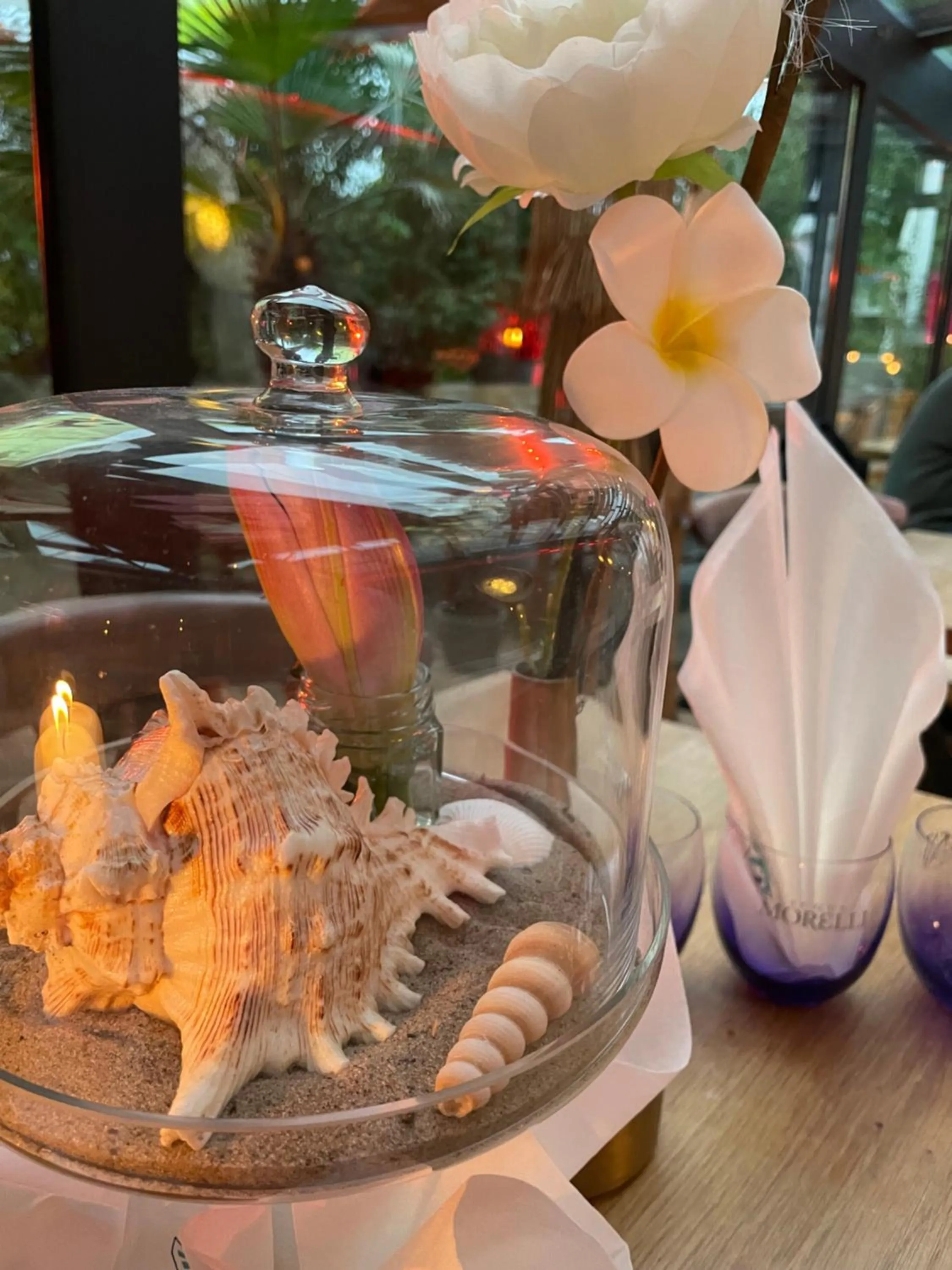 Restaurant/places to eat in feels Beach Club Hotel