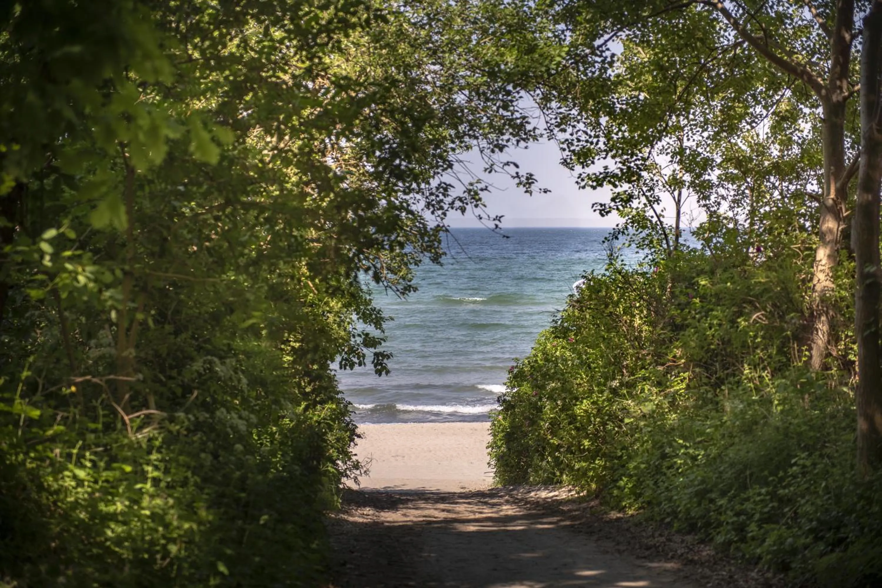 Activities in feels Beach Club Hotel