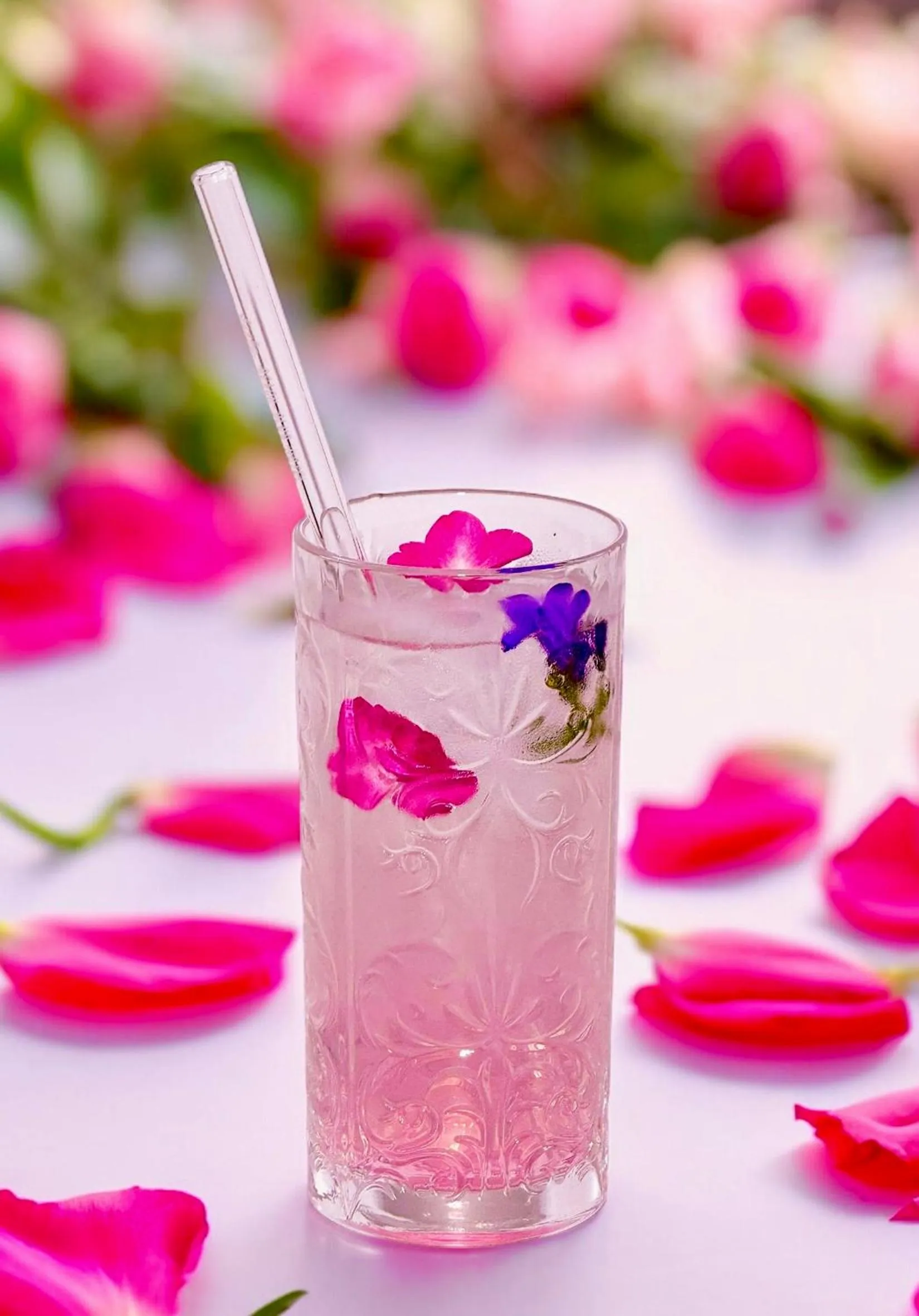 Drinks in feels Beach Club Hotel