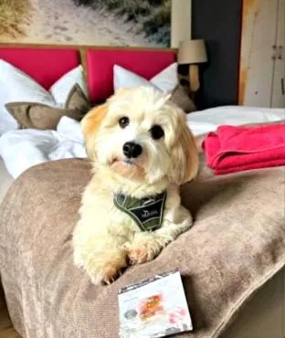 feels Beach Club Hotel