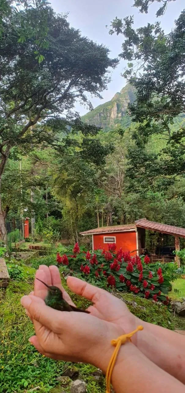 Animals in VillaHermosa B&B