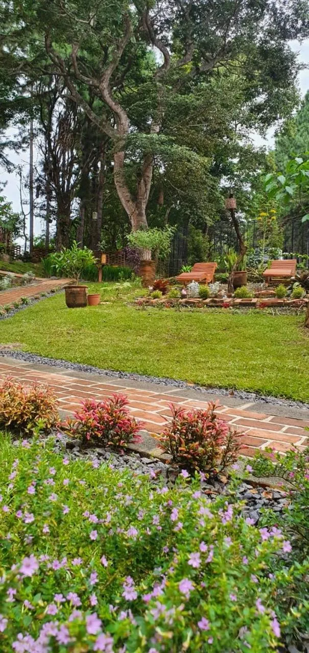 Garden in VillaHermosa B&B