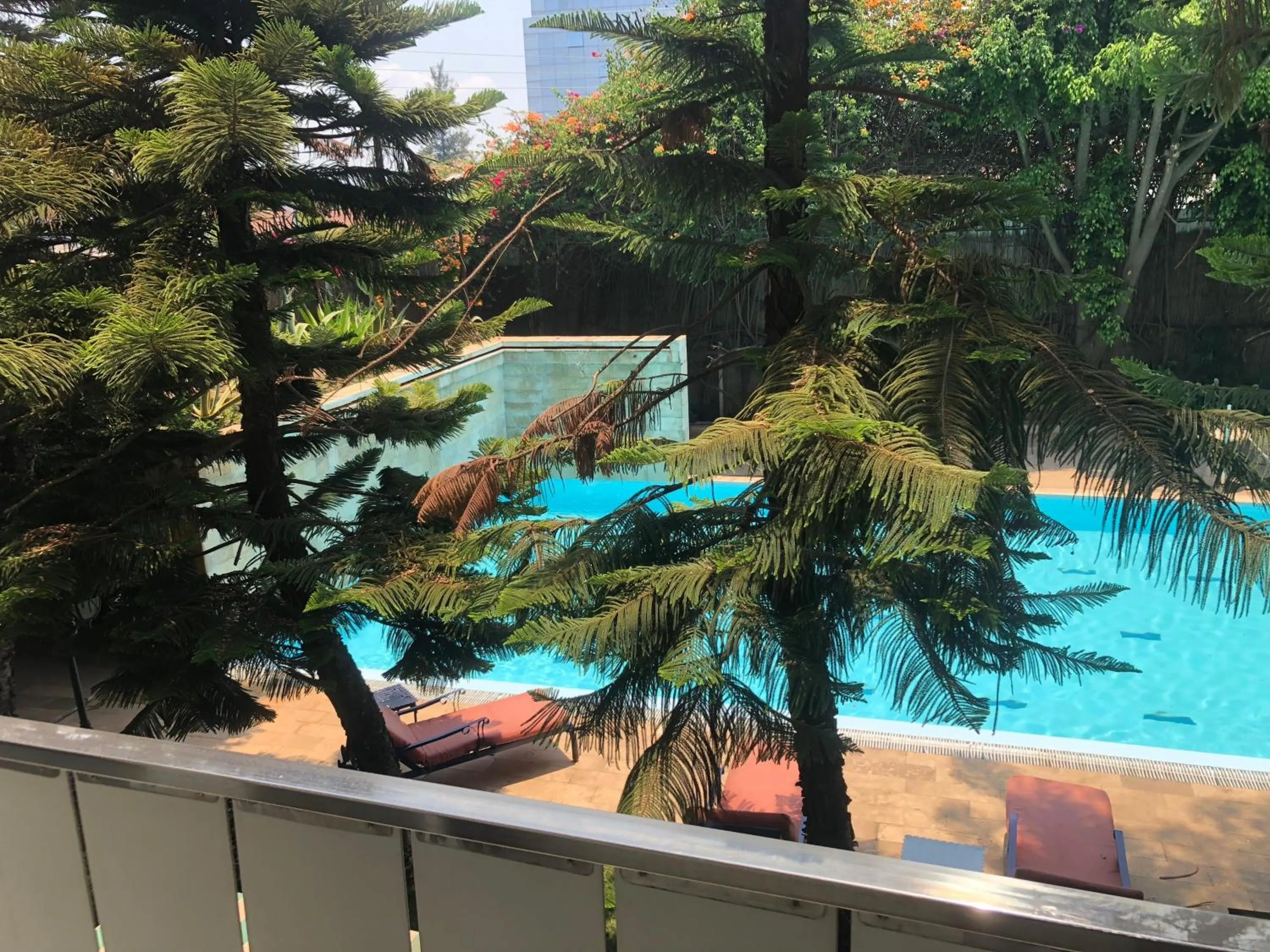 Pool view in Sunny Garden